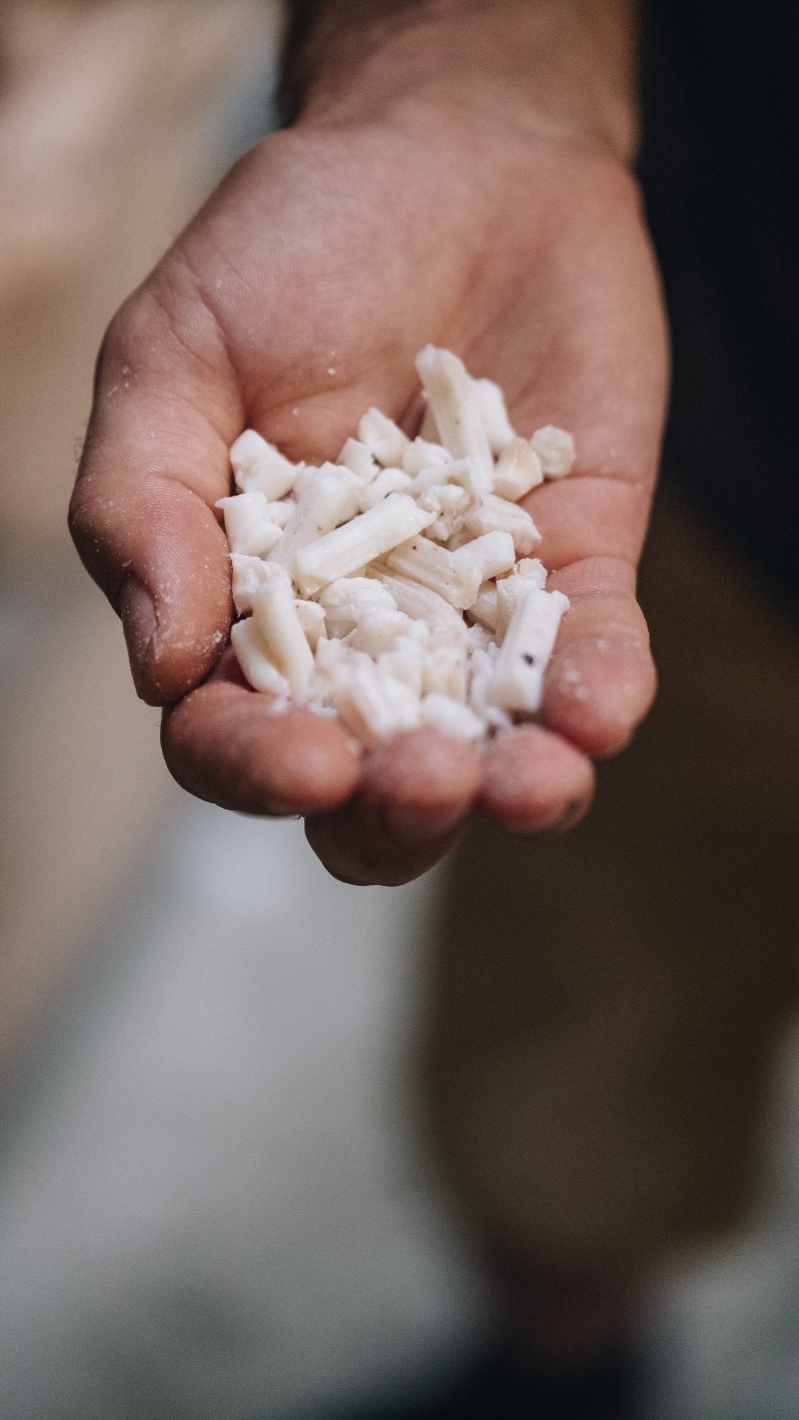 savon brut aux algues