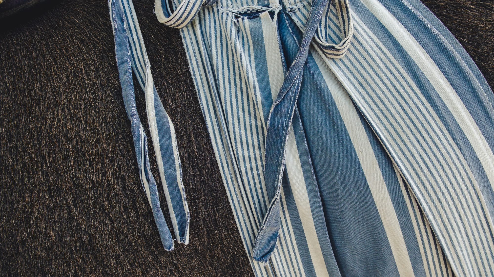 Zoom sur une culotte - Saint Martin ile de Ré