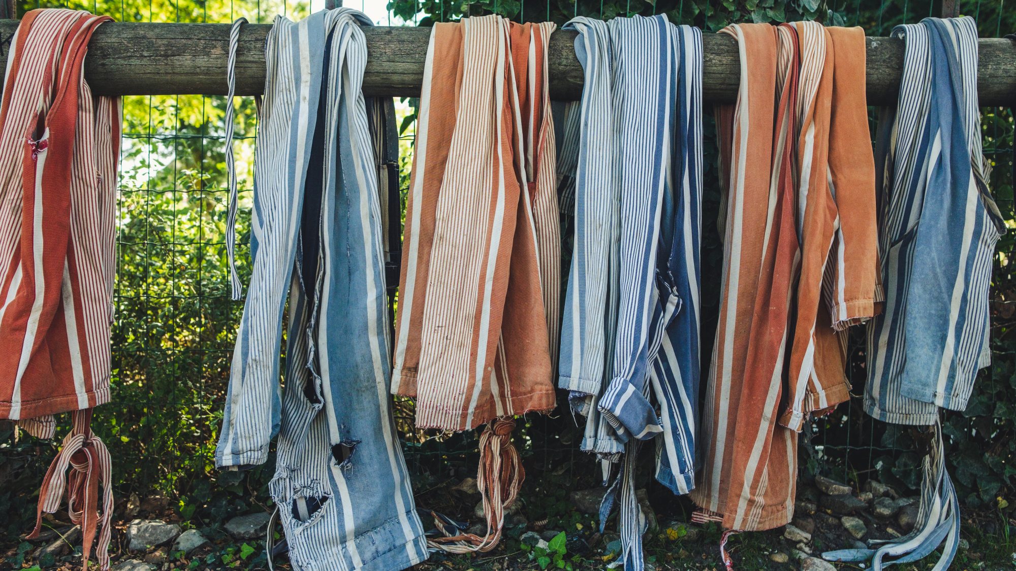 Les culottes des anes - Saint Martin Ile de Ré