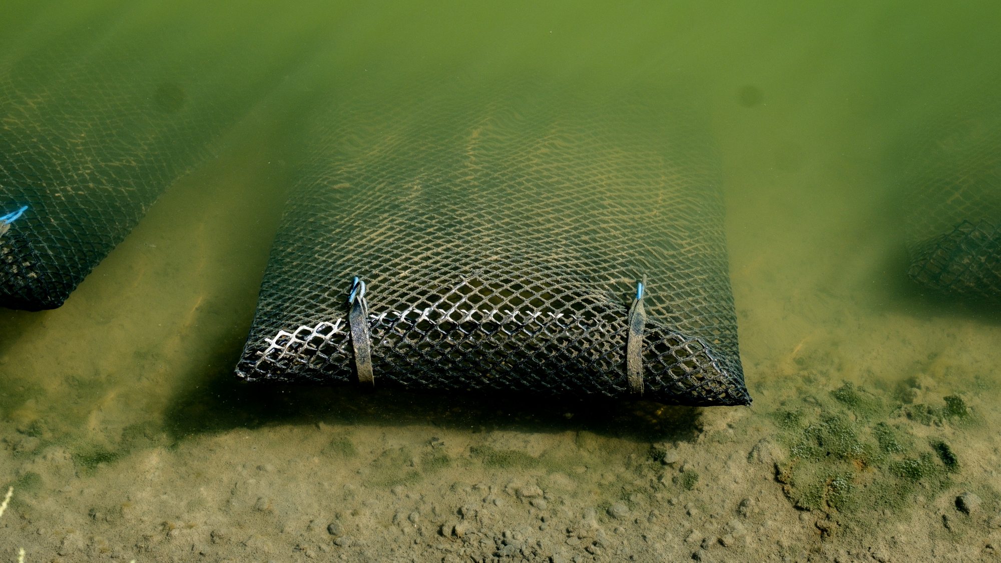 Manne pour maintenir les huitres à la Ferme des Baleines