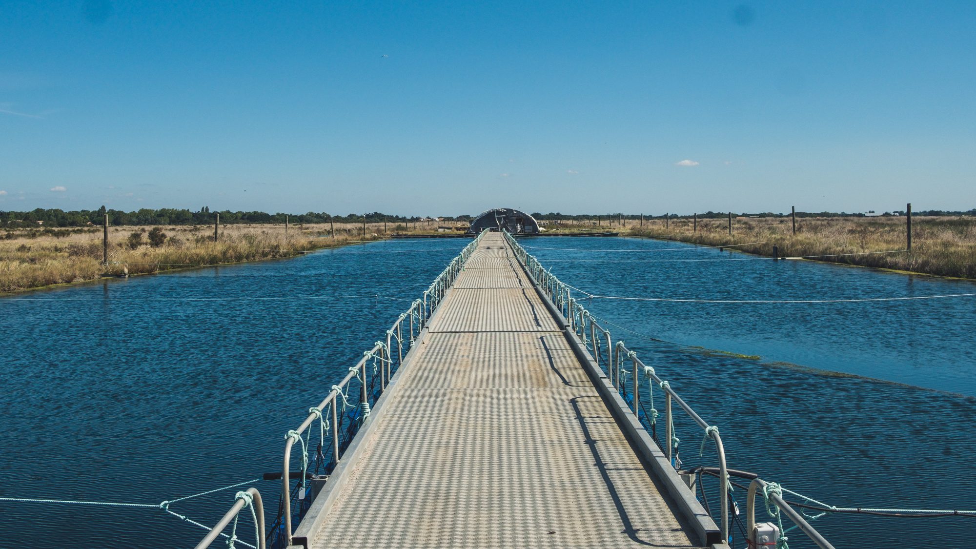 la chambre des huitres biologiques de la ferme des baleines