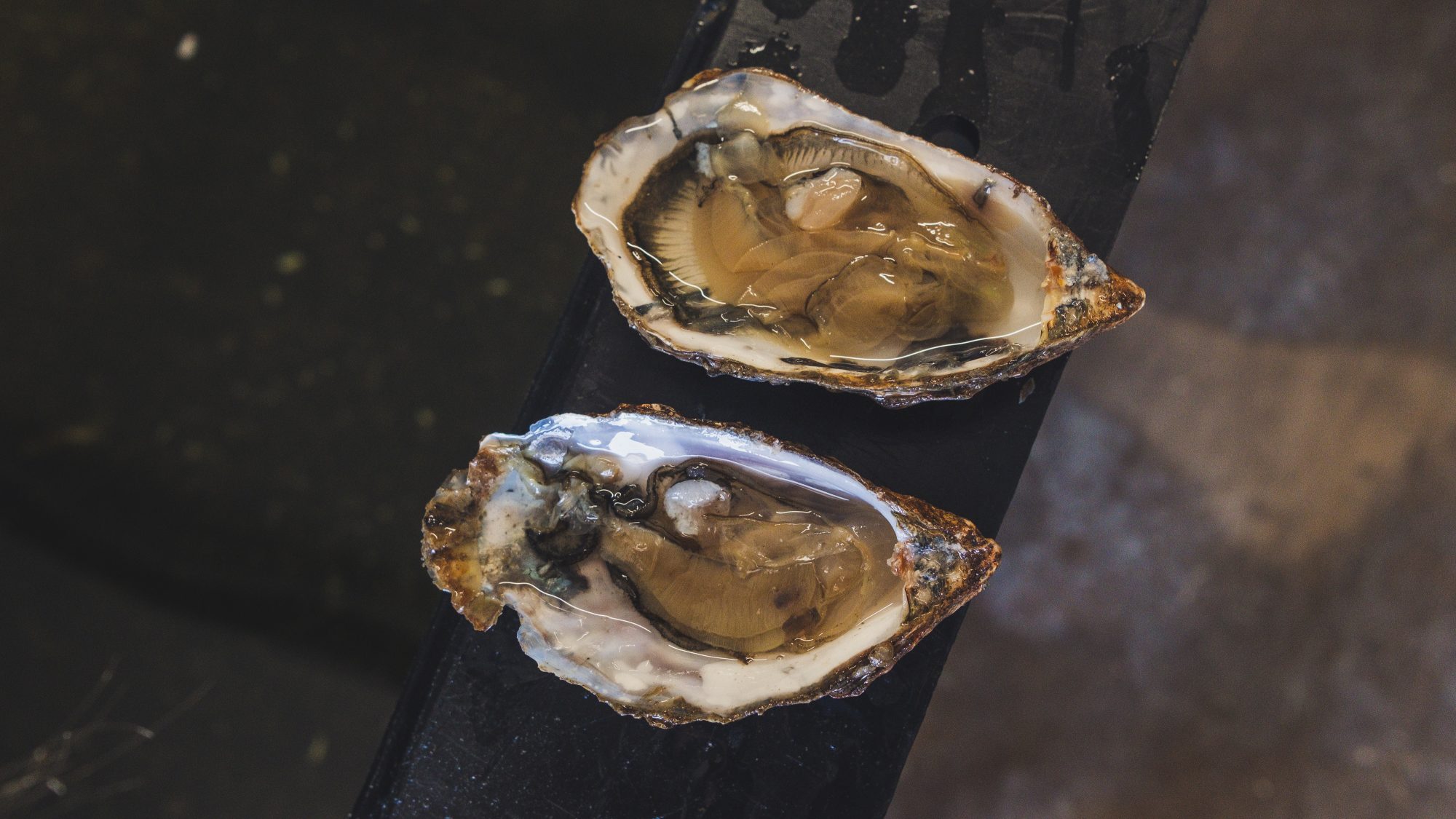 huitres biologiques de la ferme des baleines