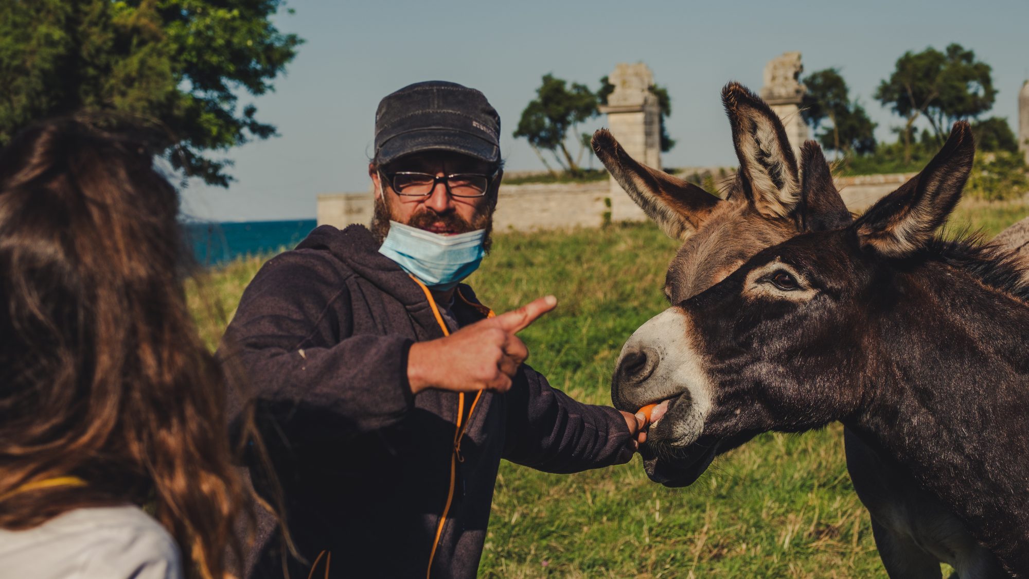 Jeremiah Léau et son troupeau - Saint martin Ile de ré