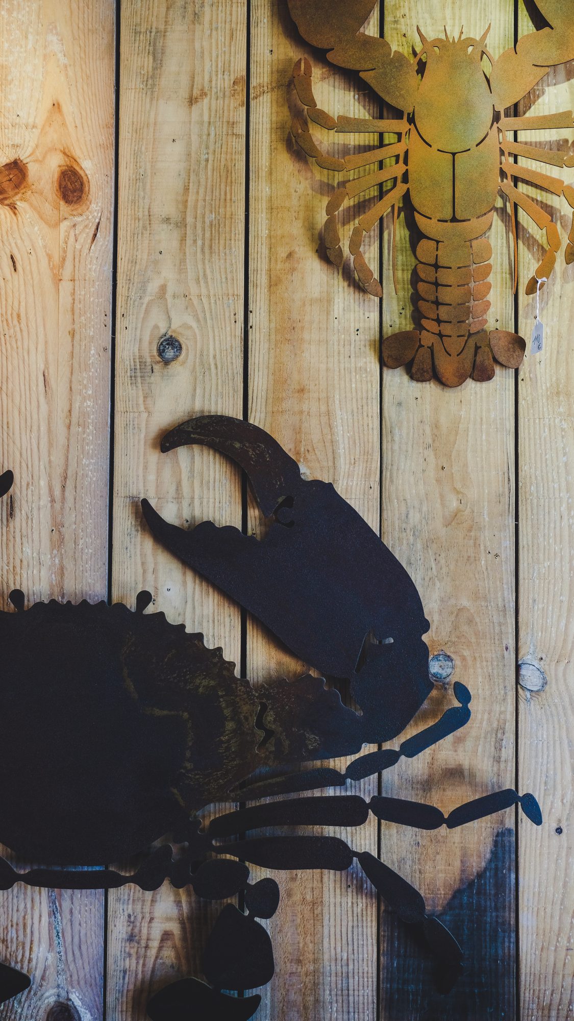 Des animaux marins fait par Récréa