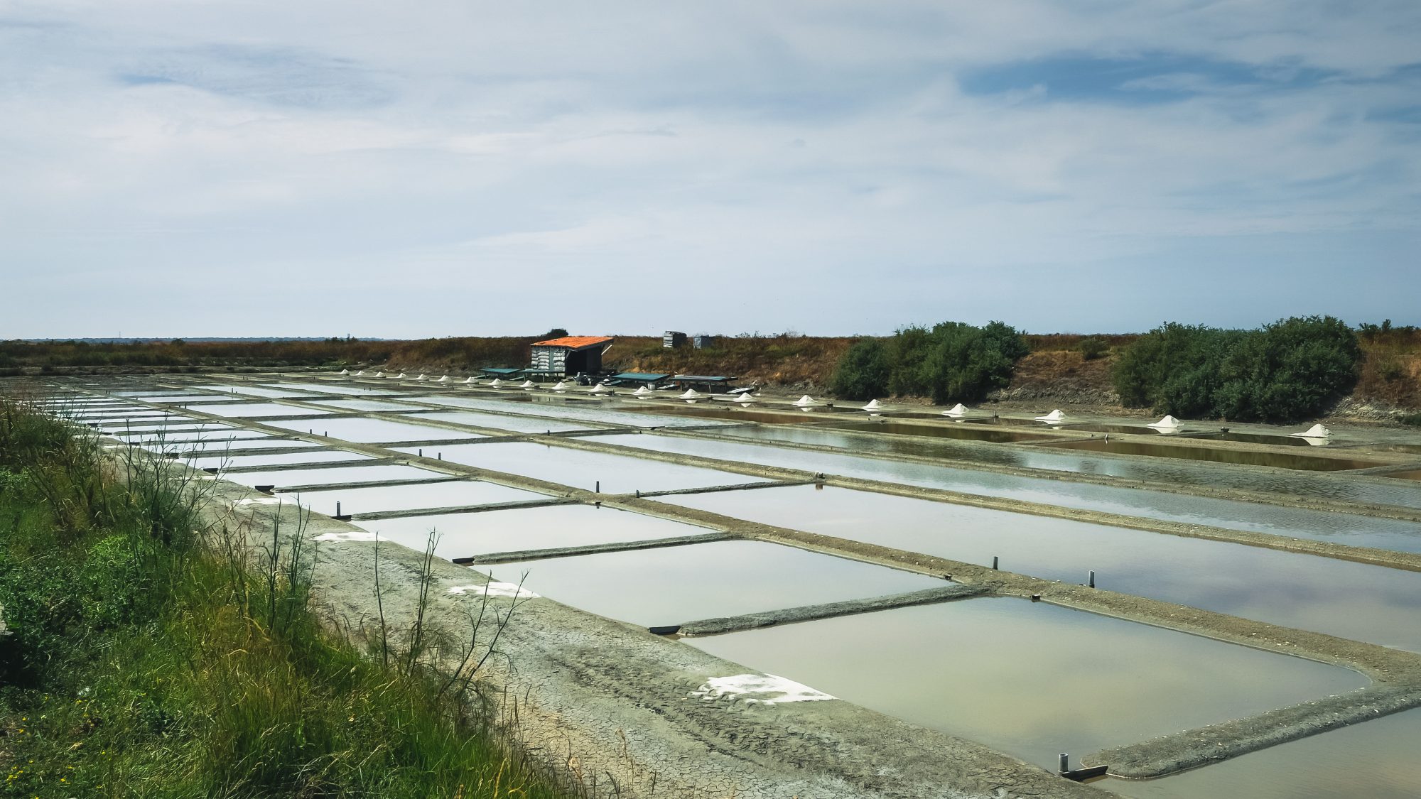 on voit les petits tas de sels dans les marais de l'ile de ré