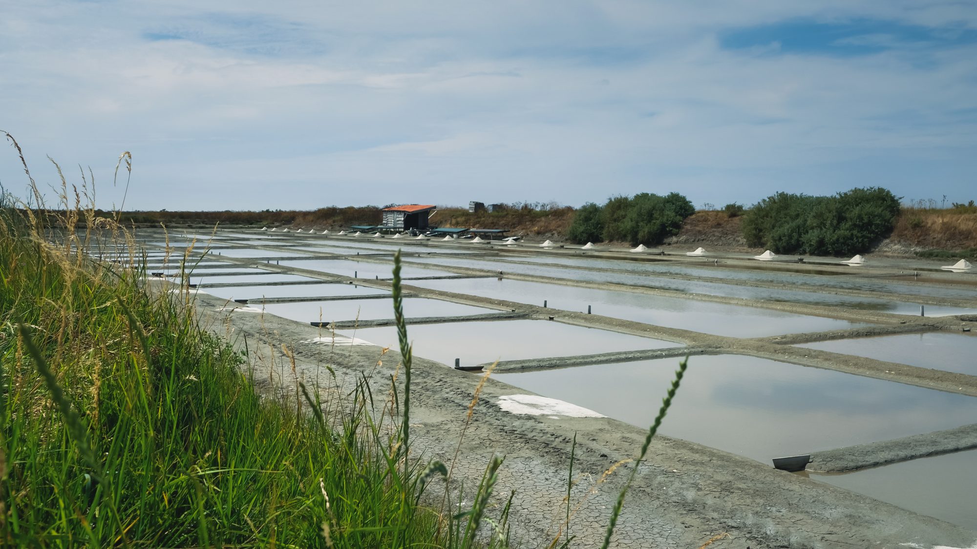 La maison des oiseaux des marais !