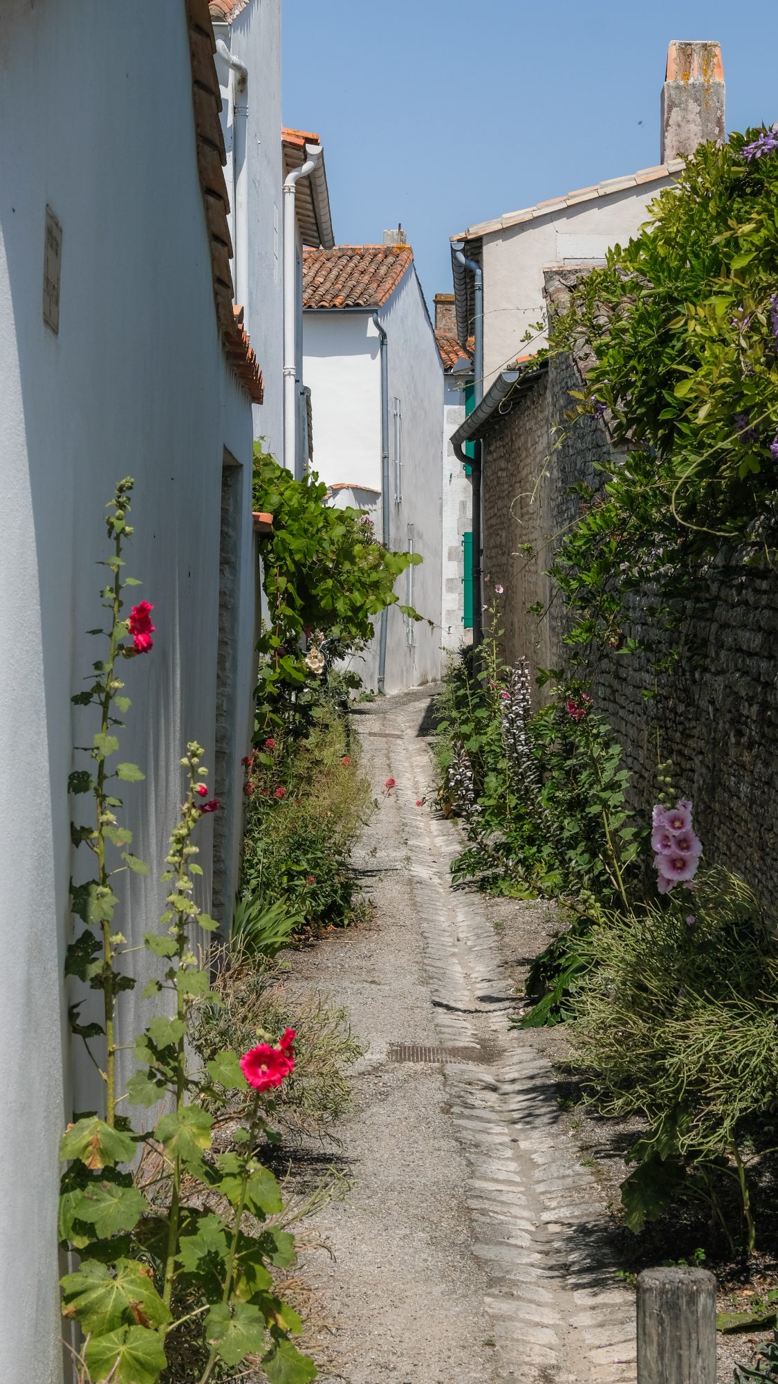 venelles : rues typiques de l'ile de ré