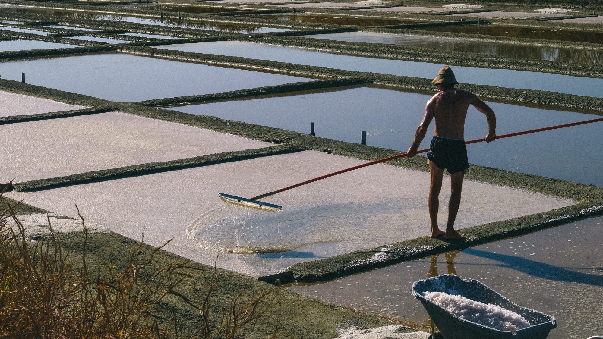 marais avec sa couleur rose, travaillé avec la las par le saunier de l'ile de ré