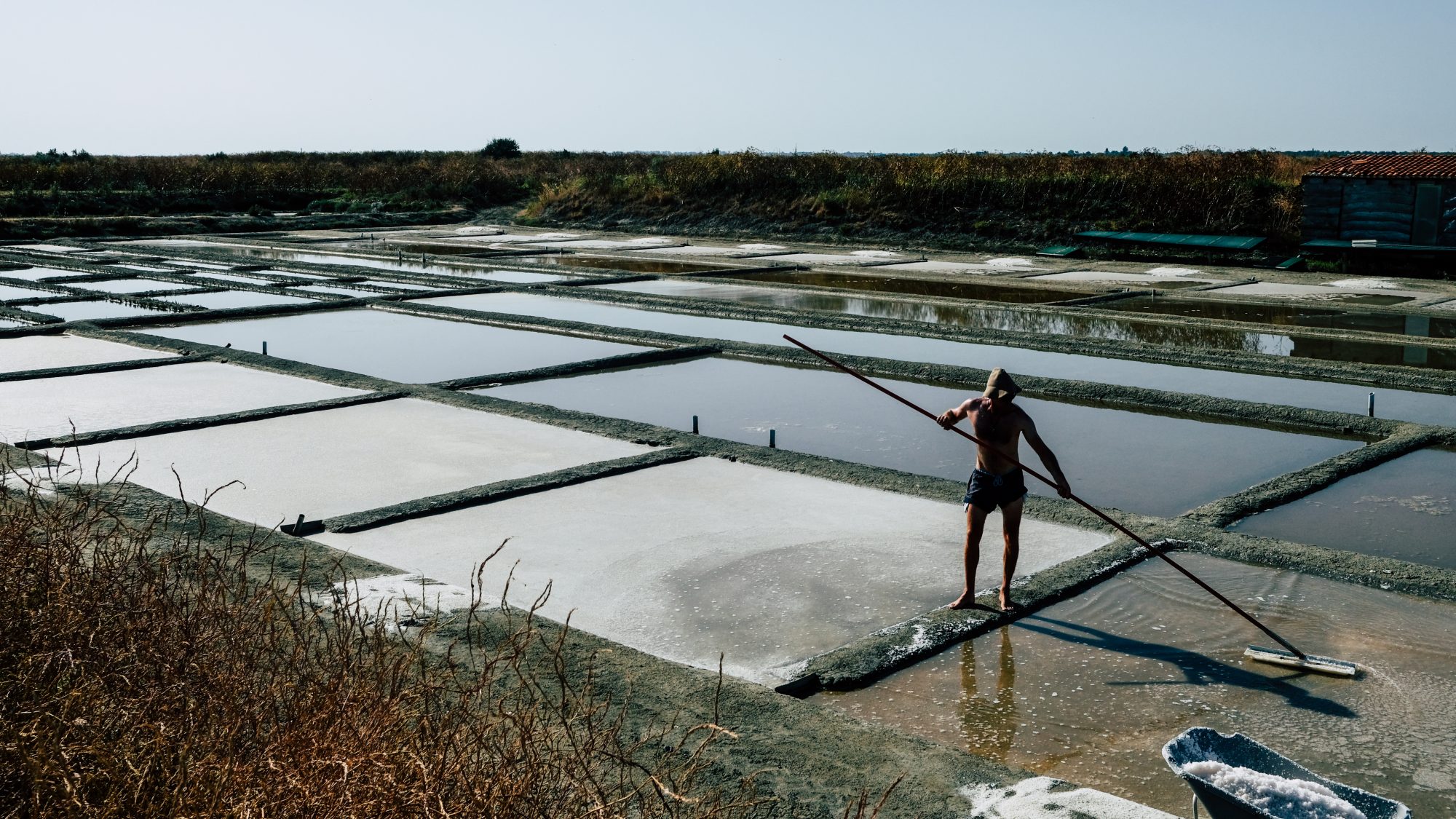saunier ile de ré qui travaille