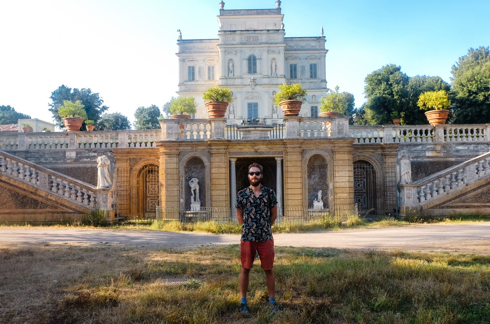 Les Paresseux Curieux achètent !