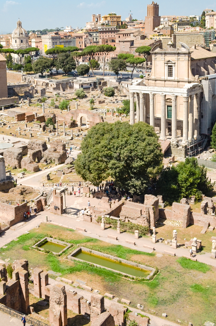 Zone de baignade dans le forum