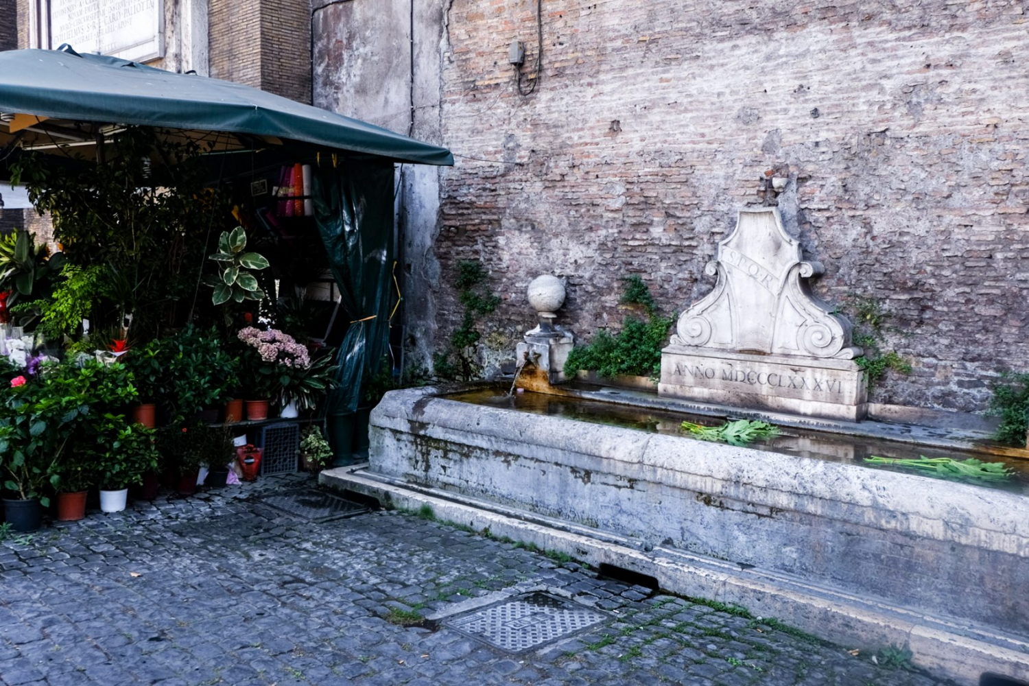 Fontaine avec le sigle SPQR a rome