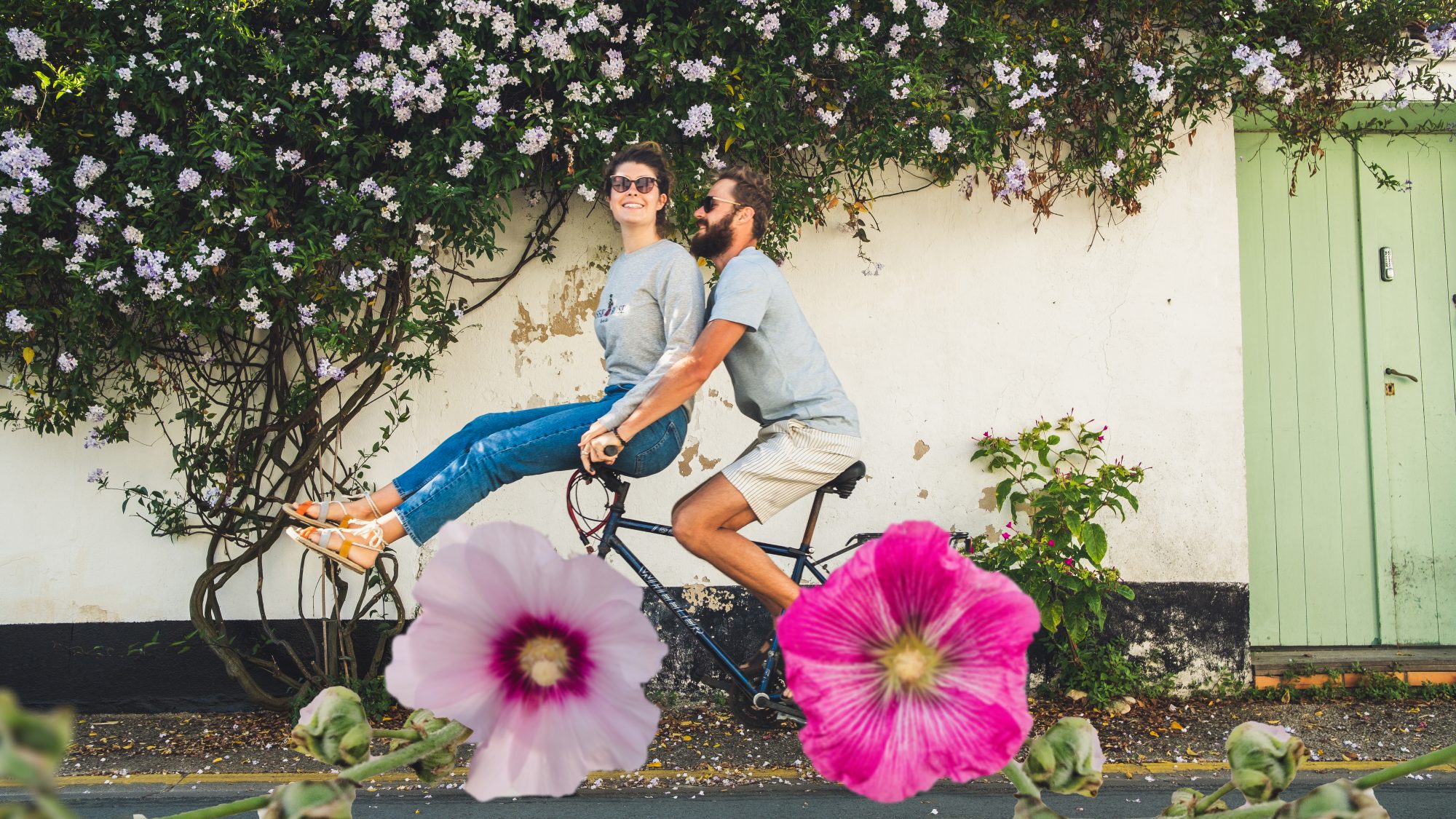 Les Paresseux Curieux sur leur monture à l'ile de re