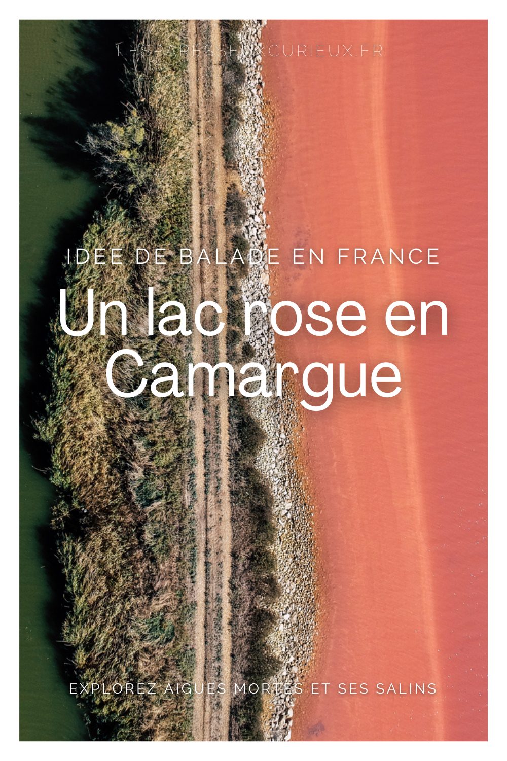 Pinterest lac rose de camargue