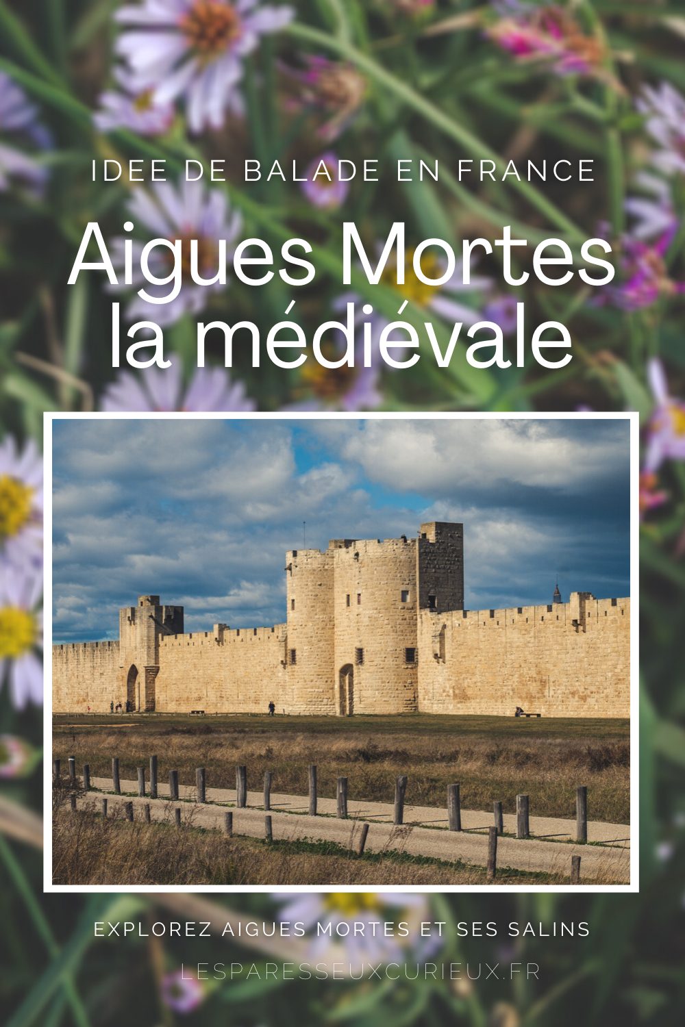 Une forteresse en camargue