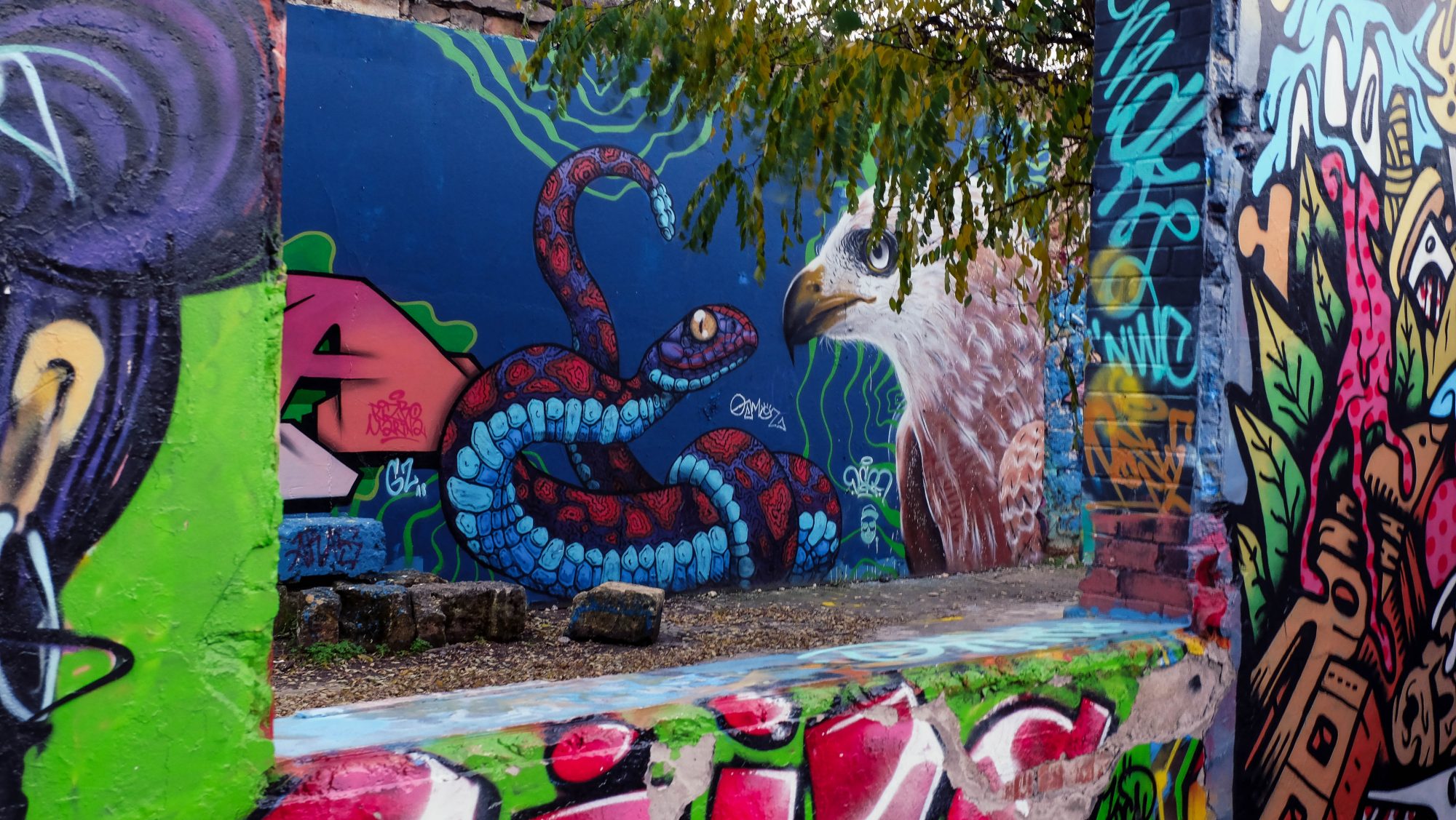 street art à Darwin : passage obligé pendant votre week end street art à Bordeaux