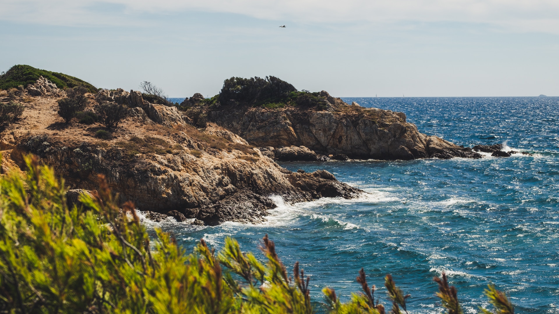 des presqu'iles partout le long de la promenade