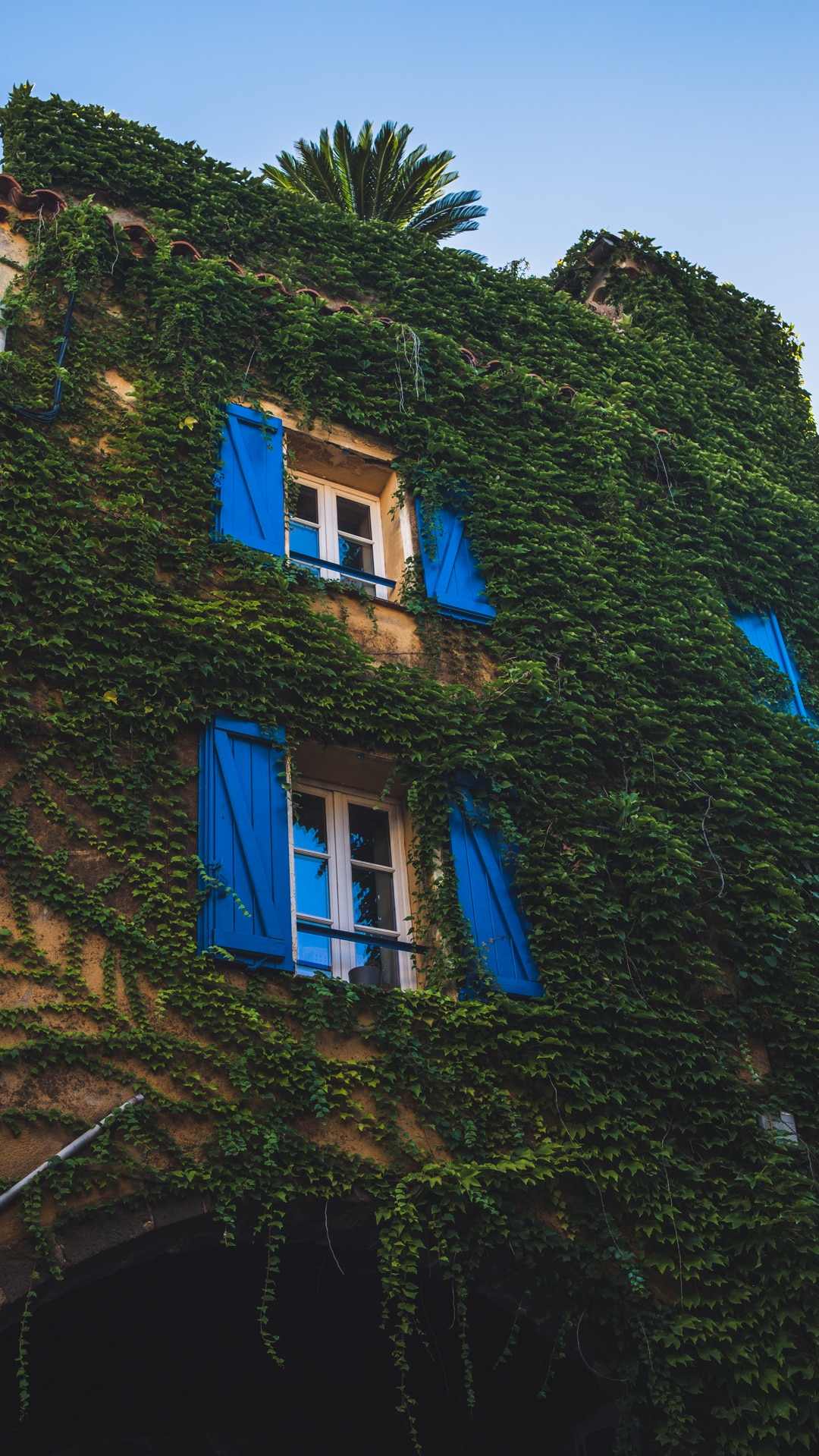 les maisons vertes de grimaud