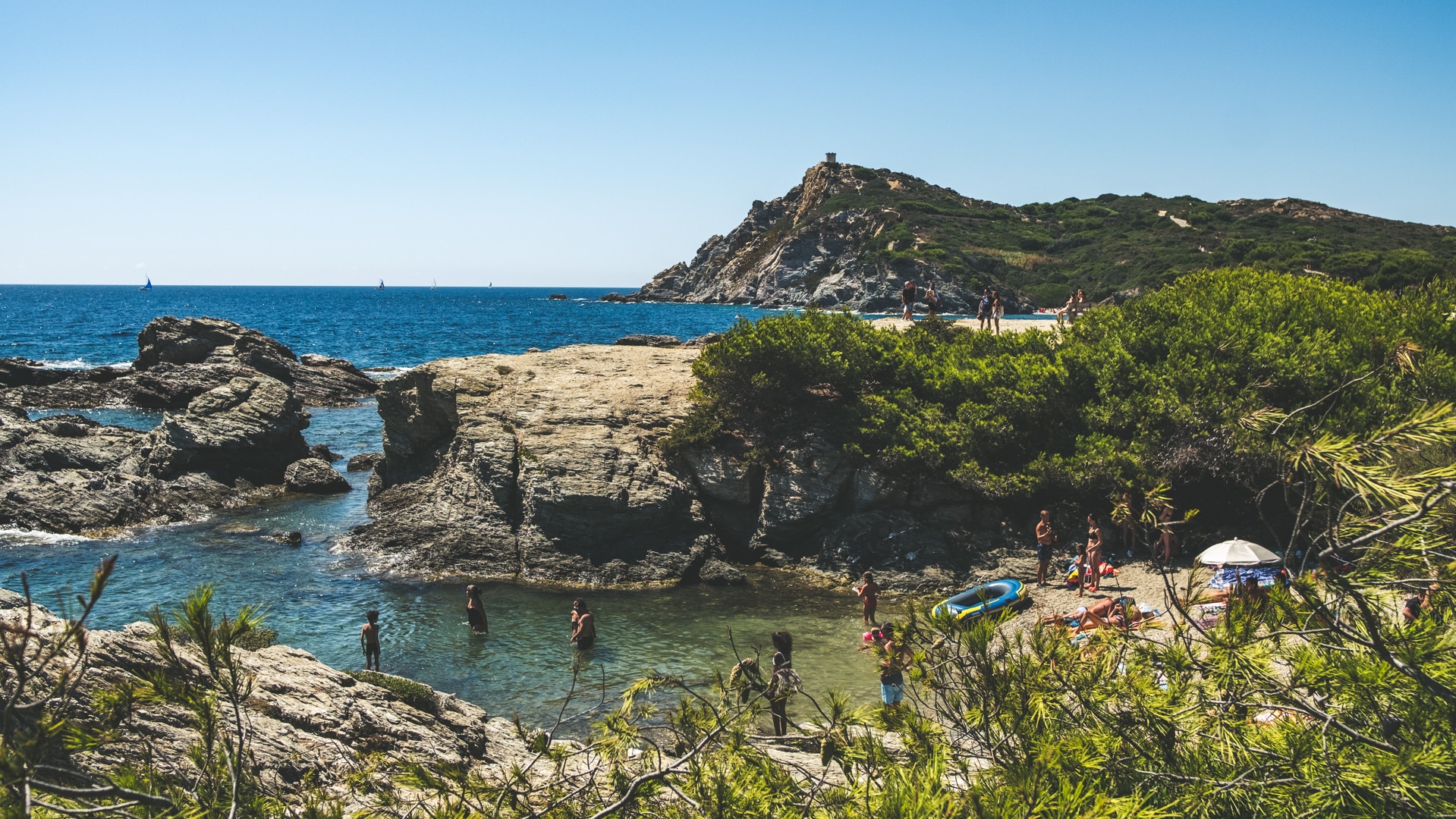 baignez vous sur les îles du Gaou pour admirer les poissons