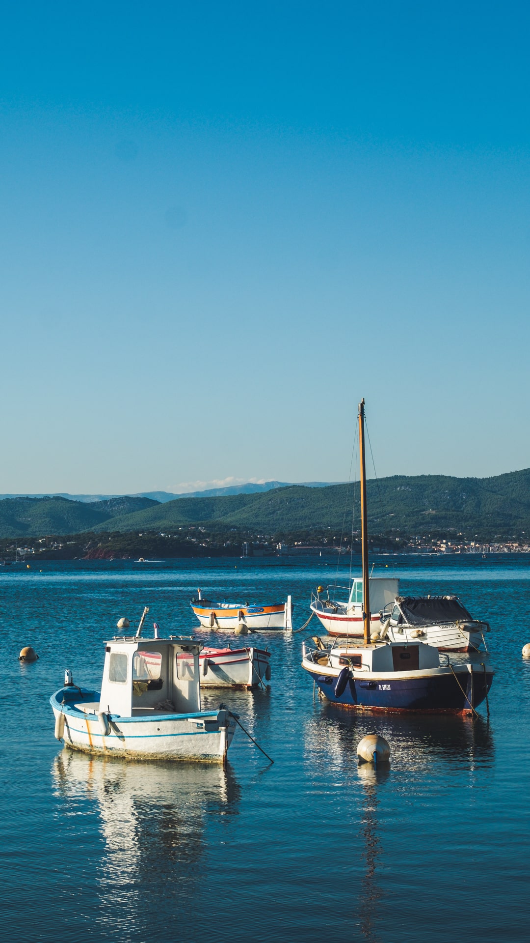 portraits de pointus