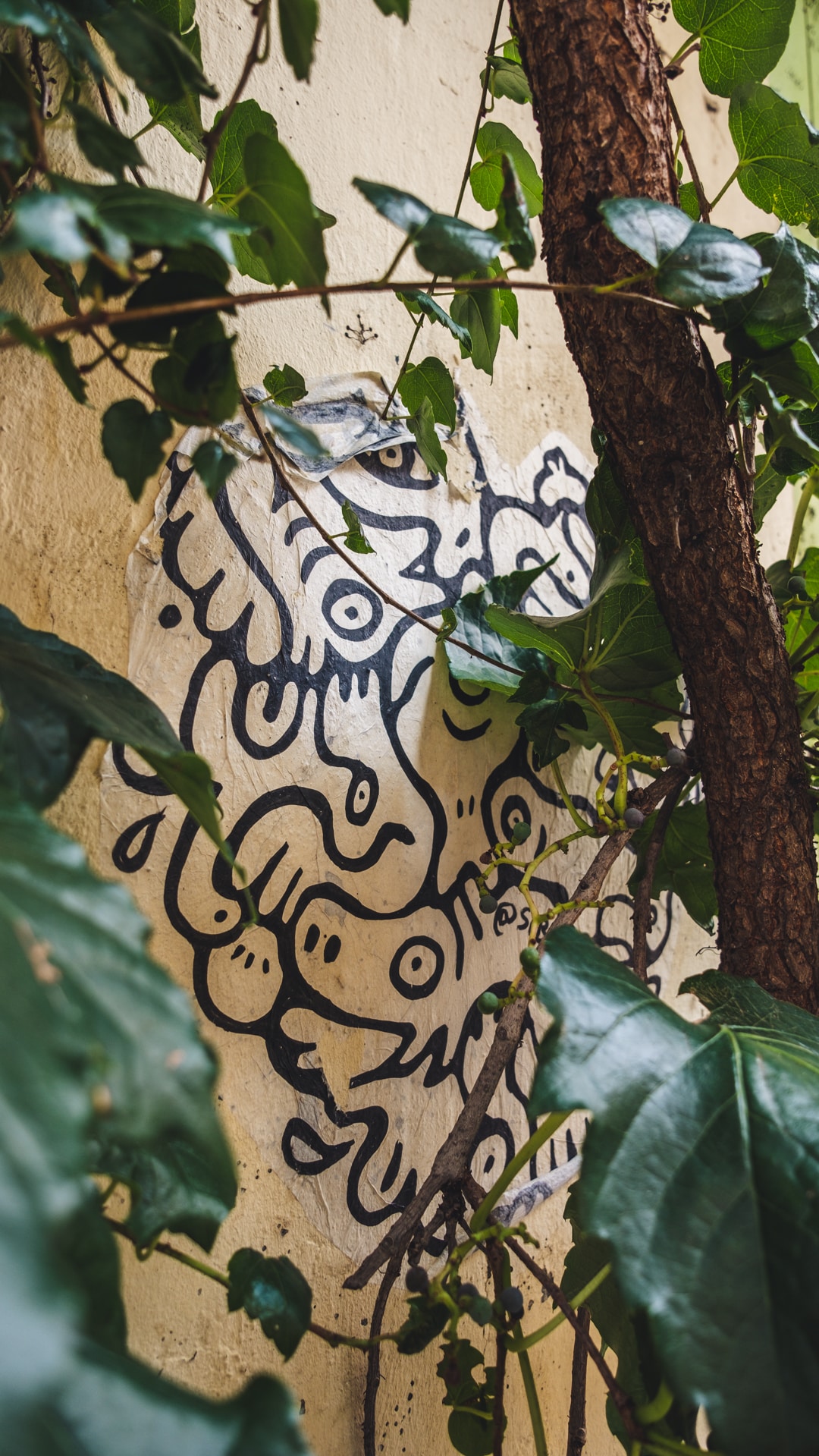 Petits animaux mignons au central do brasil : magnifique lieu pour voir du street art à Bordeaux