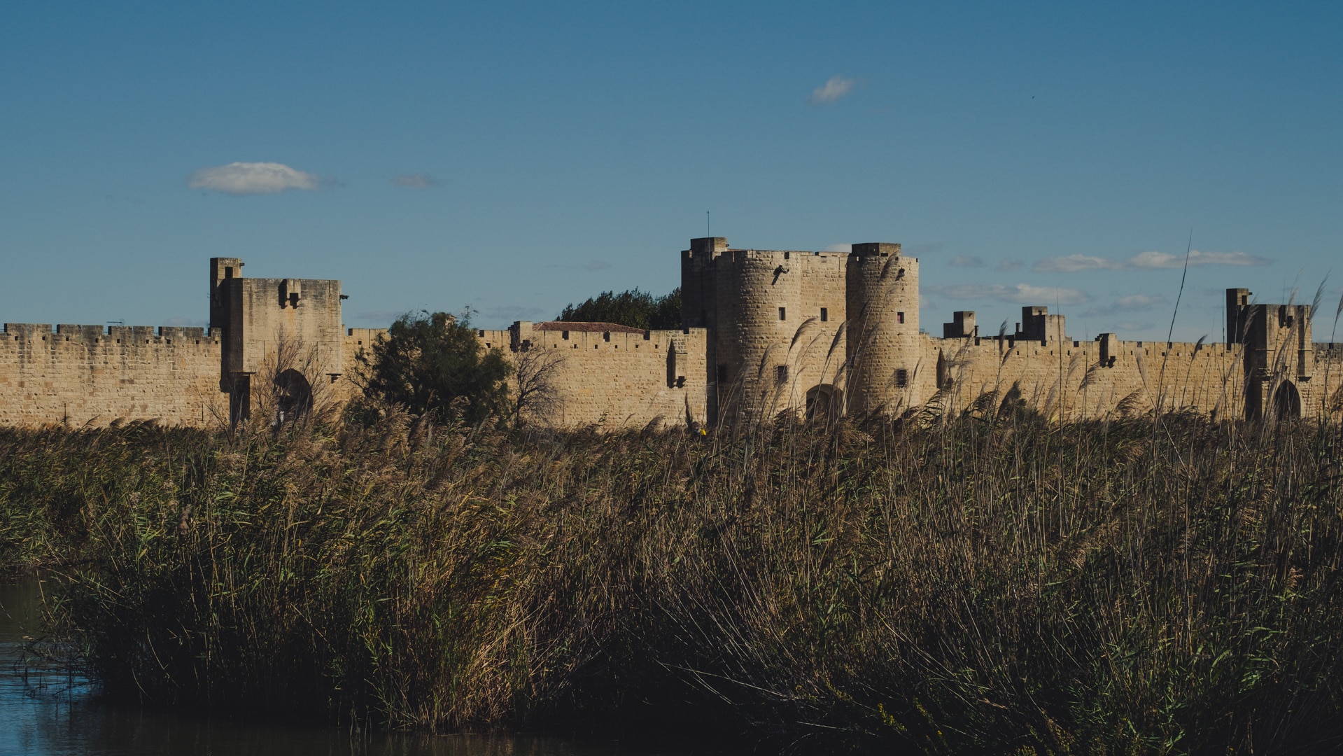 Roseaux et marais entourent aigues mortes depuis plus de 1000 ans