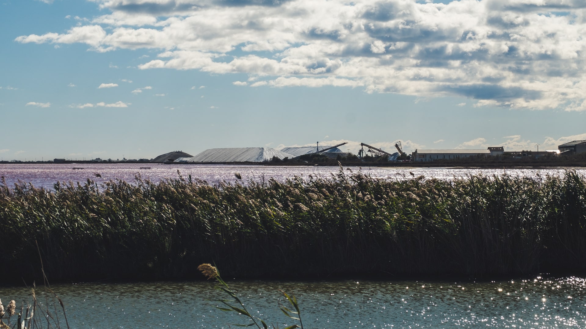 le sel La Baleine est produit dans les lacs roses d'Aigues Mortes