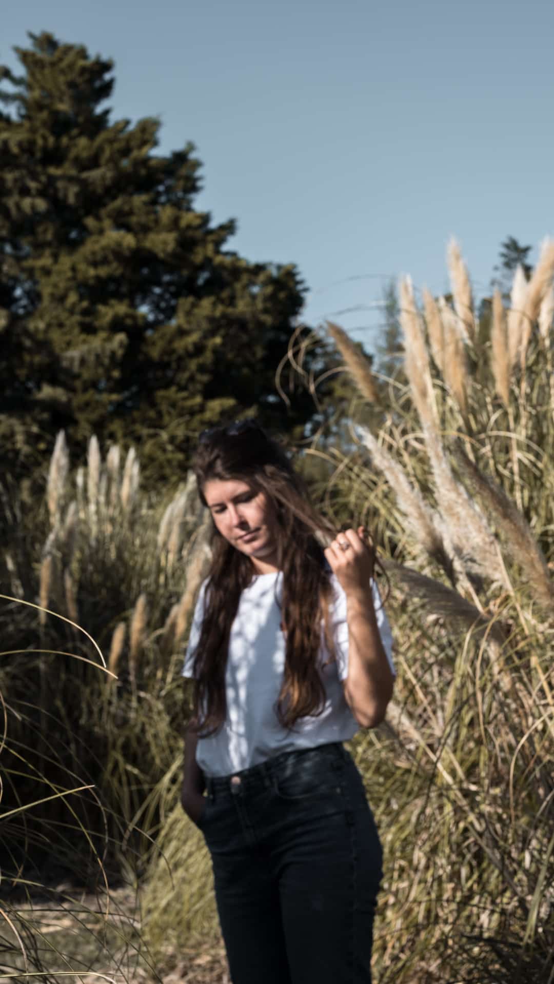 flou artistique dans les pampas