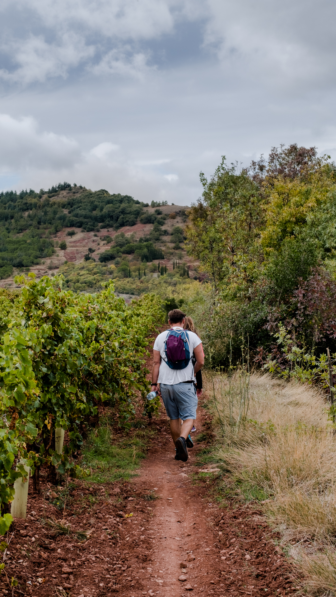 entre vignes et lac pendant cette balade autour de montpellier