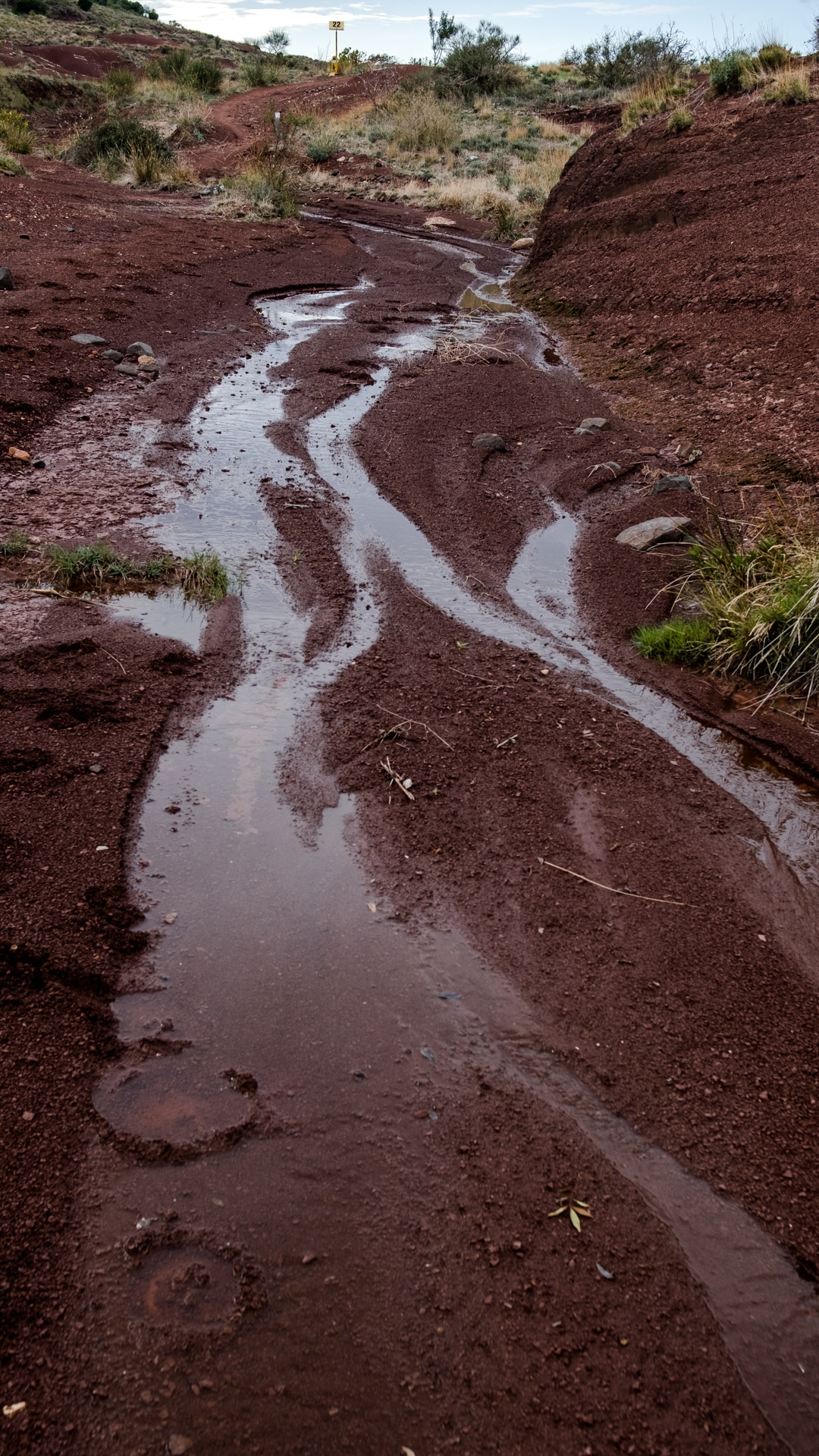 presque des traces de dinosaures au lac du salagou