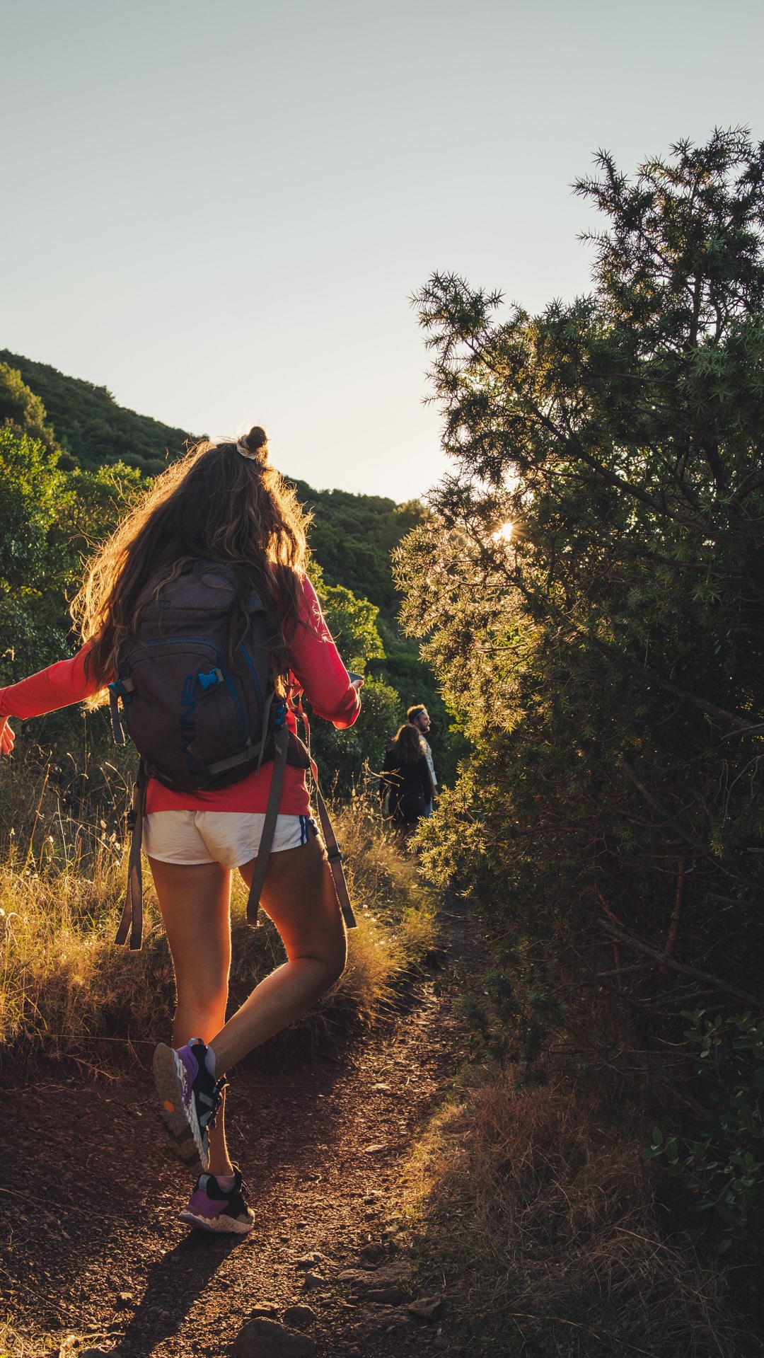 promenade dans les forêts