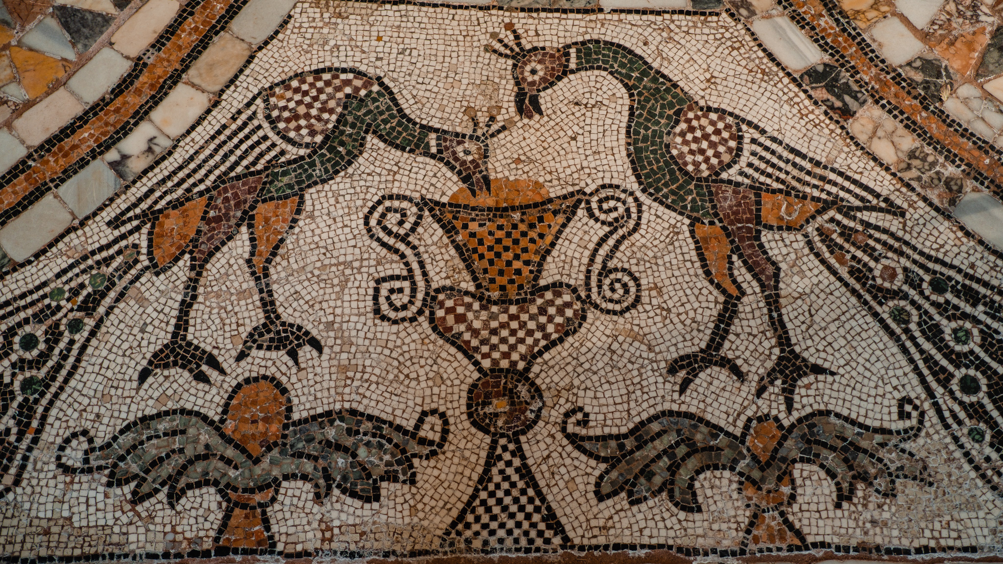 Représentations animales de la Basilique Santi Maria e Donato à Murano