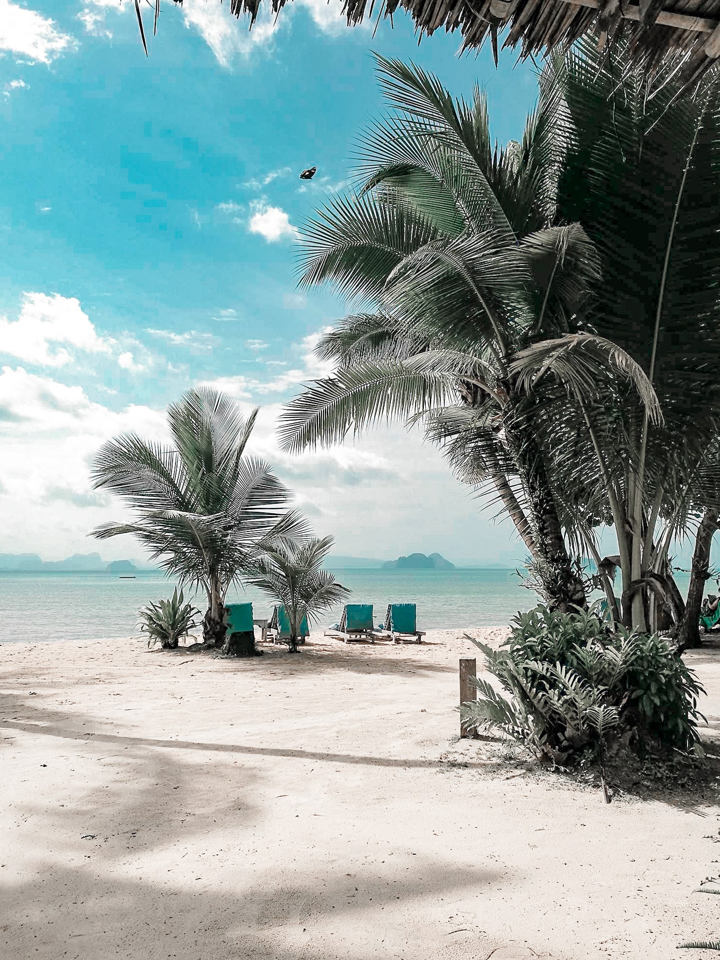 Le sable chaud, les transat, personne.. le rêve de tout voyageur !