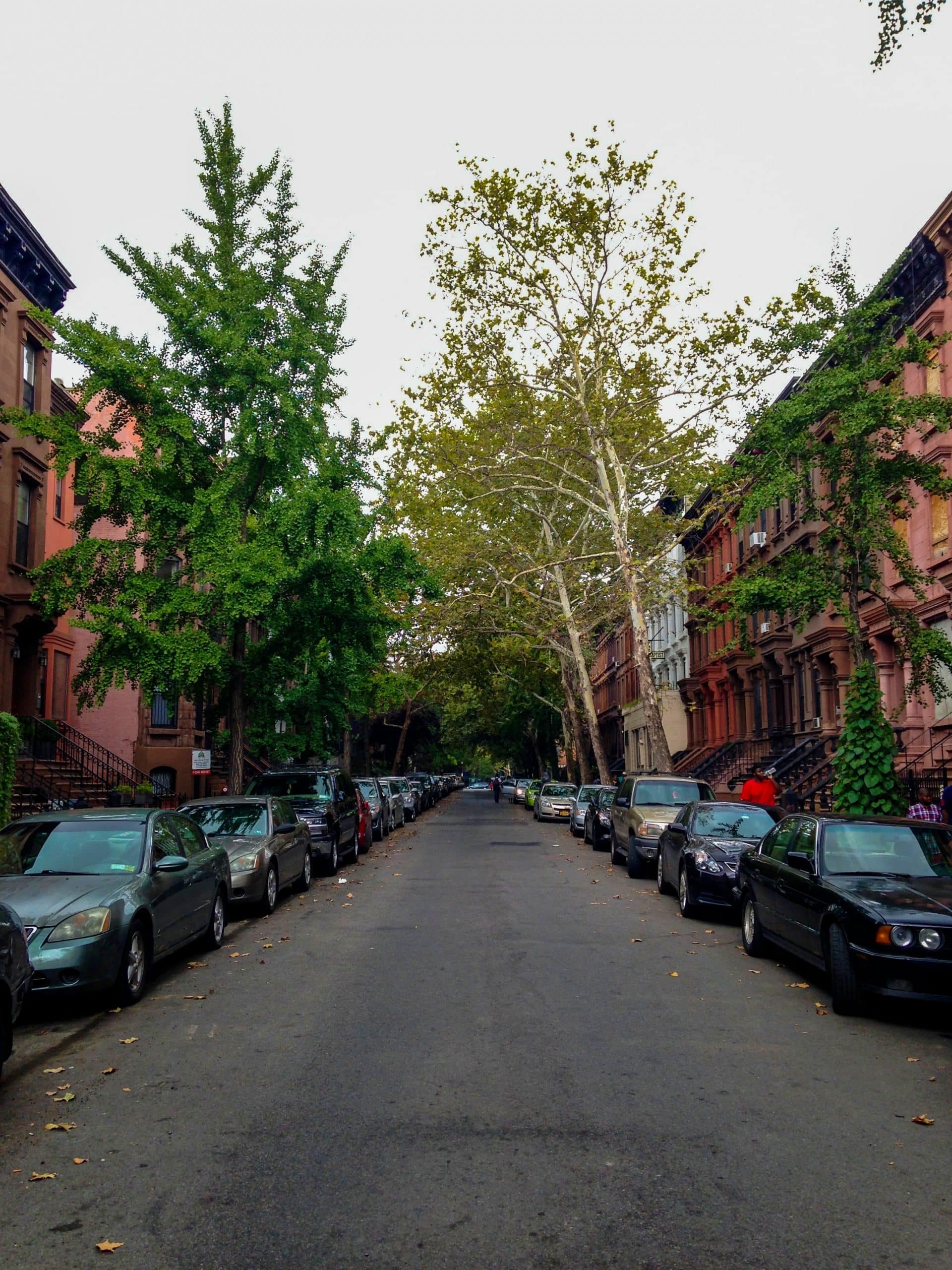 les rues colorées de Harlem