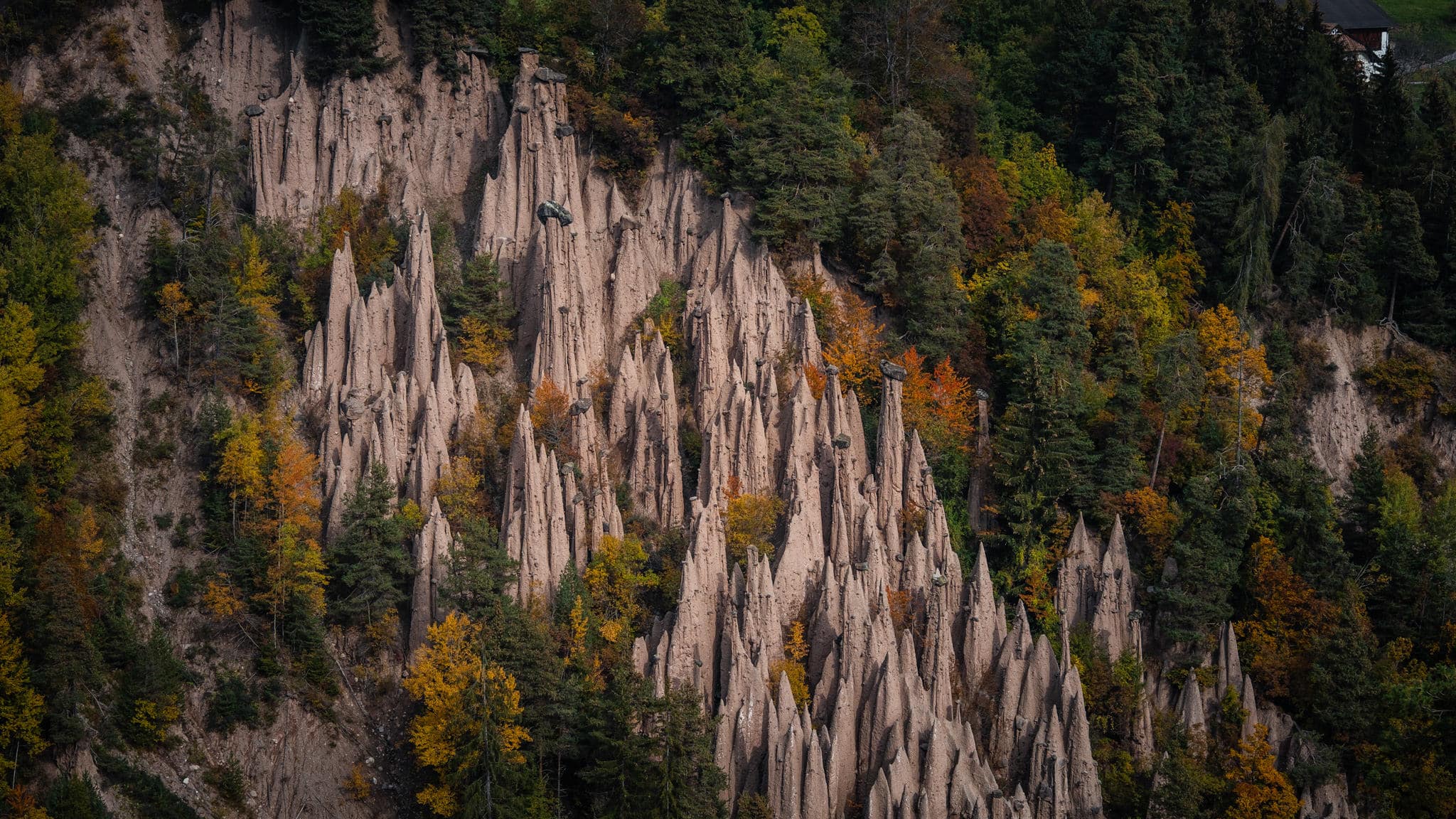 Les cheminées de fées du Renon