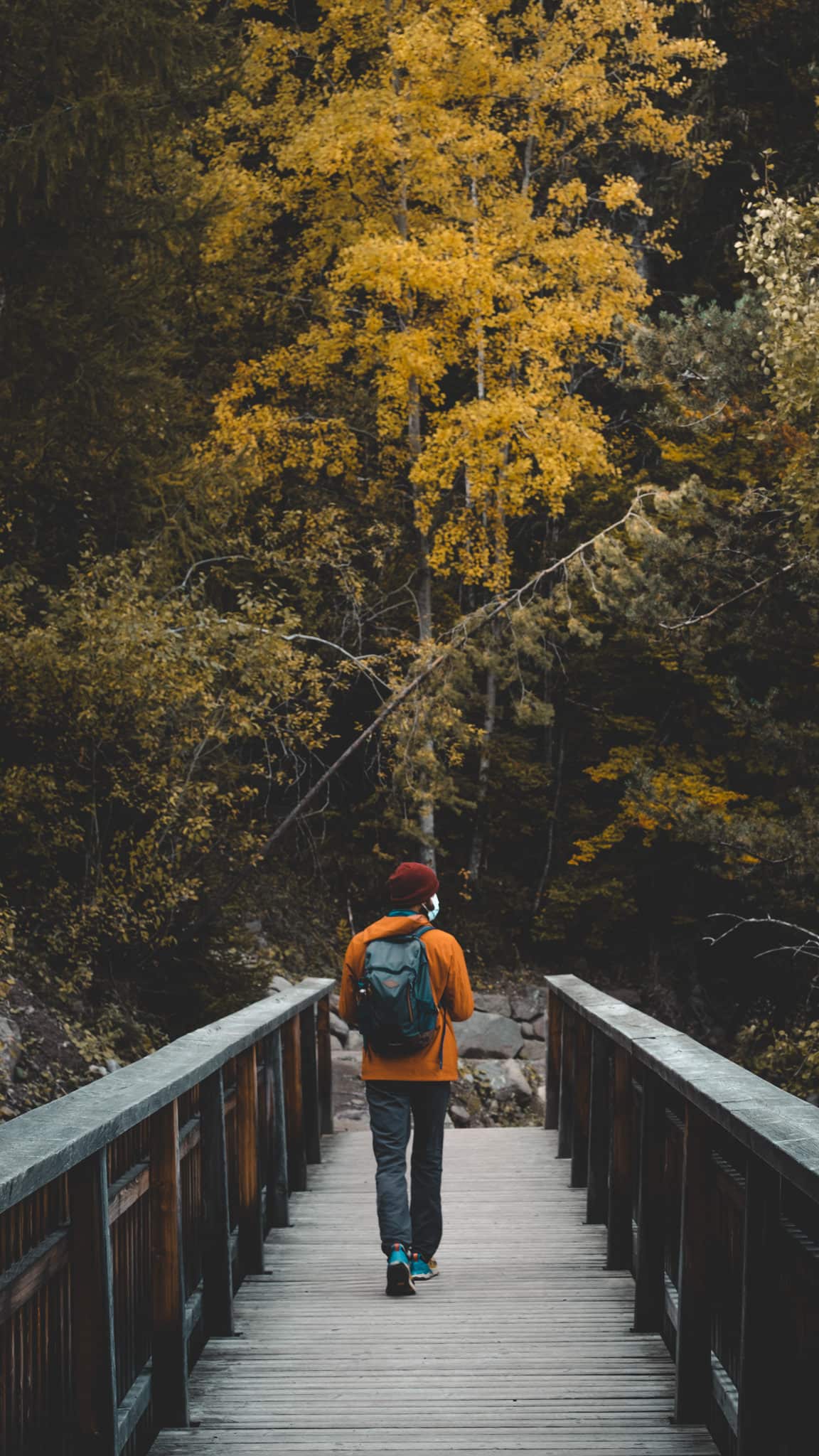 Randonnée Dolomites des cheminées de fées du Renon