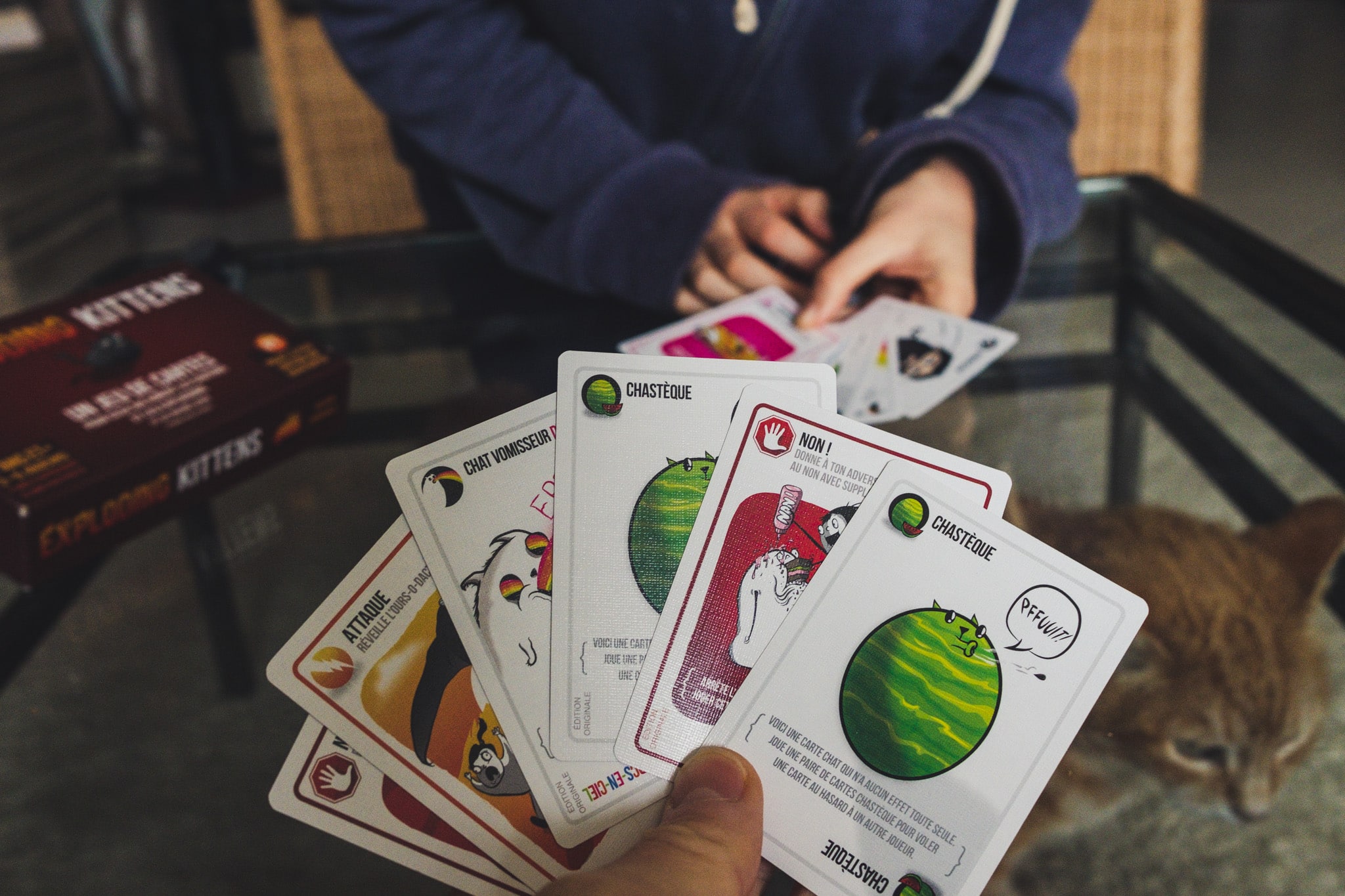 cartes du jeu exploding kittens