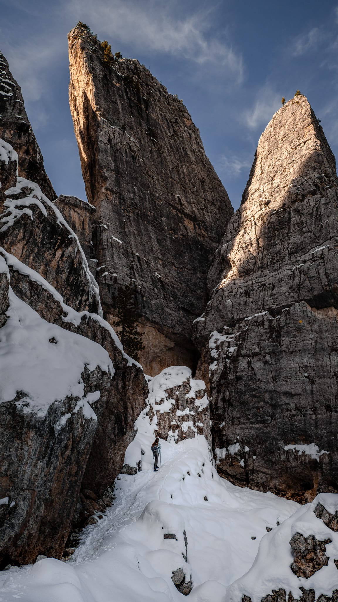 mimi est toute petit par rapport à ces deux tours