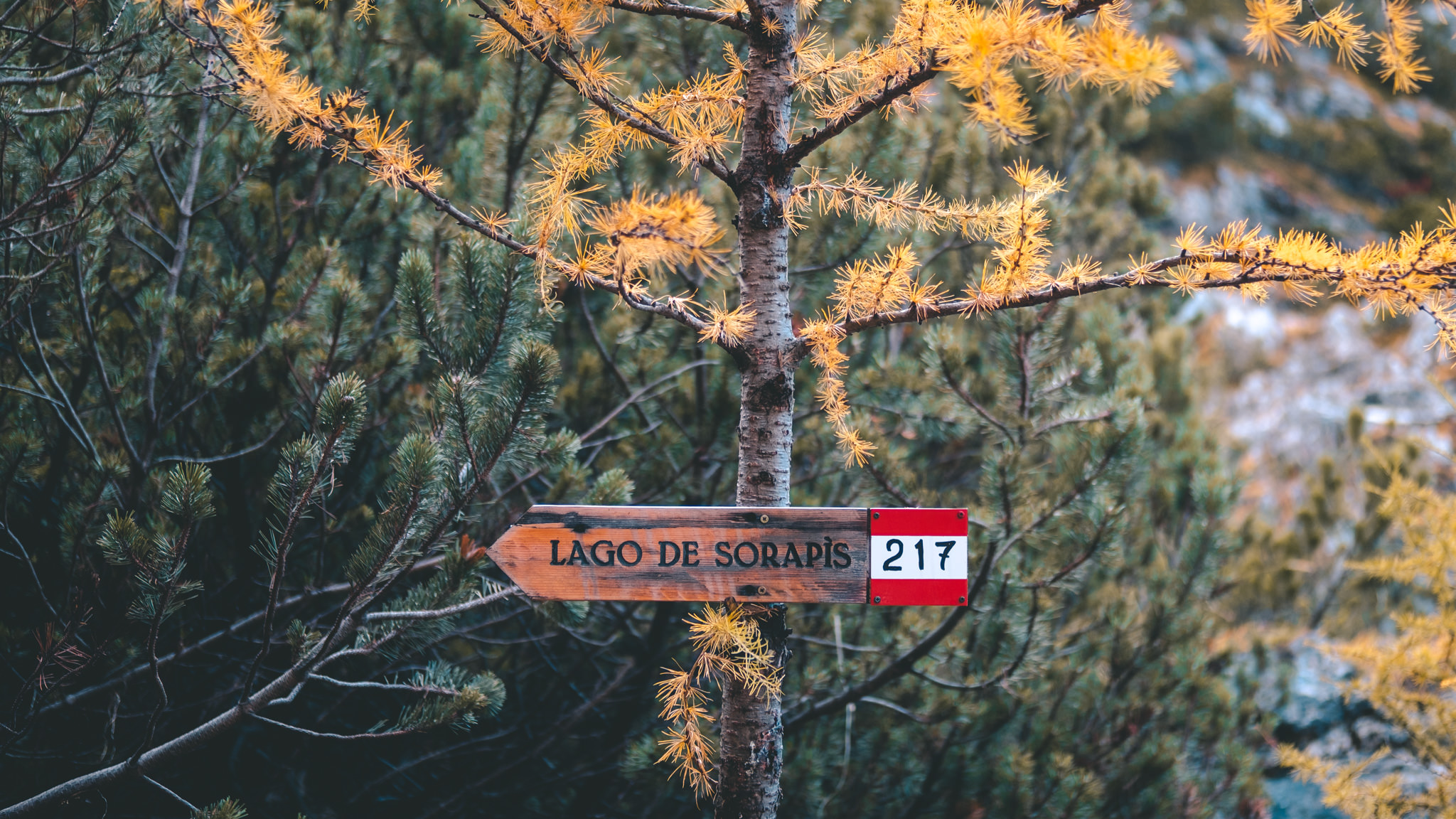 Panneau indication pendant la randonnée Dolomites du lac de Sorapis