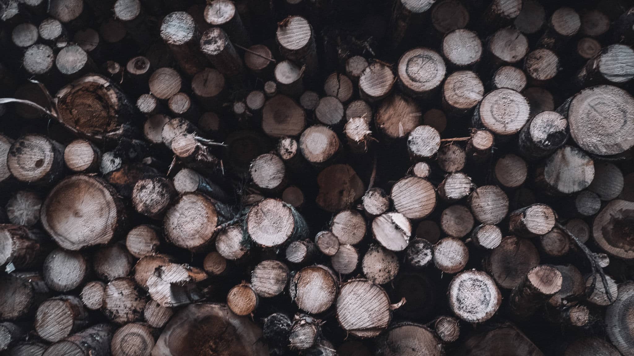 Réserve de bois pendant la randonnée Dolomites du lac de Sorapis