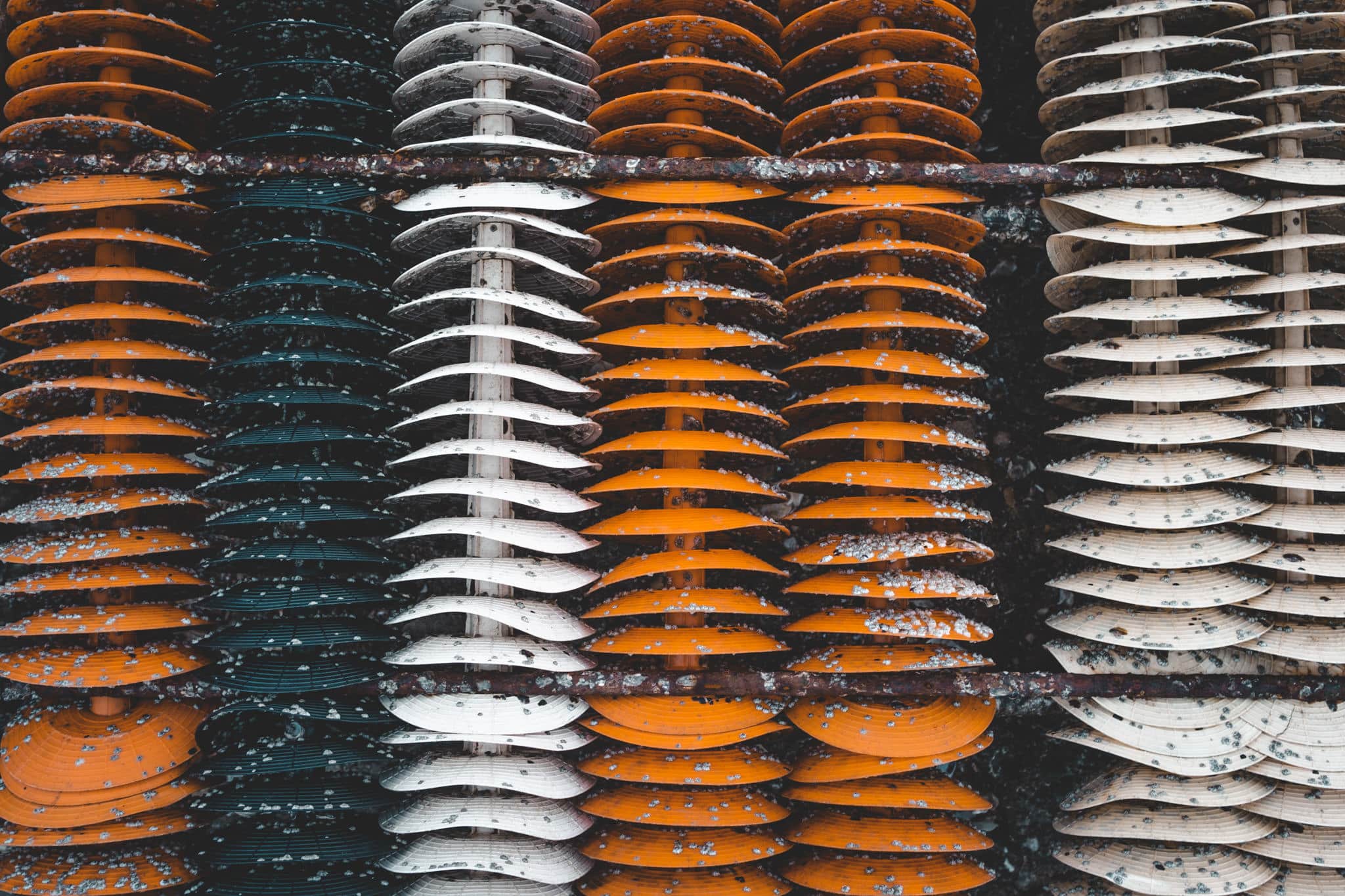 la maison des moules à Fouras