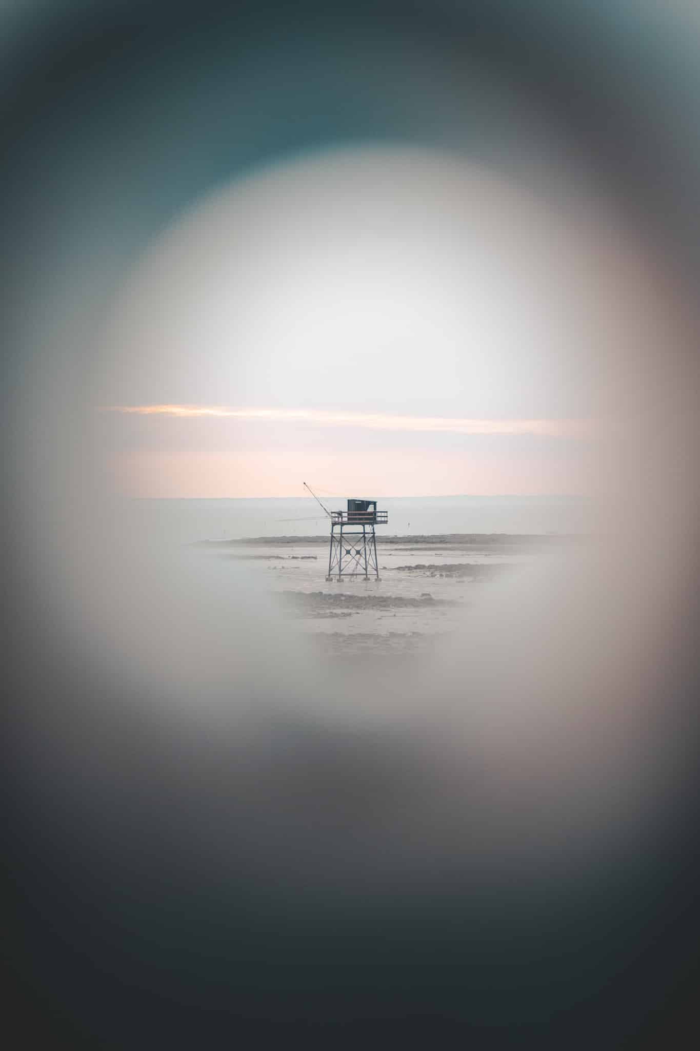 Une des plus belles photos de 2021 !