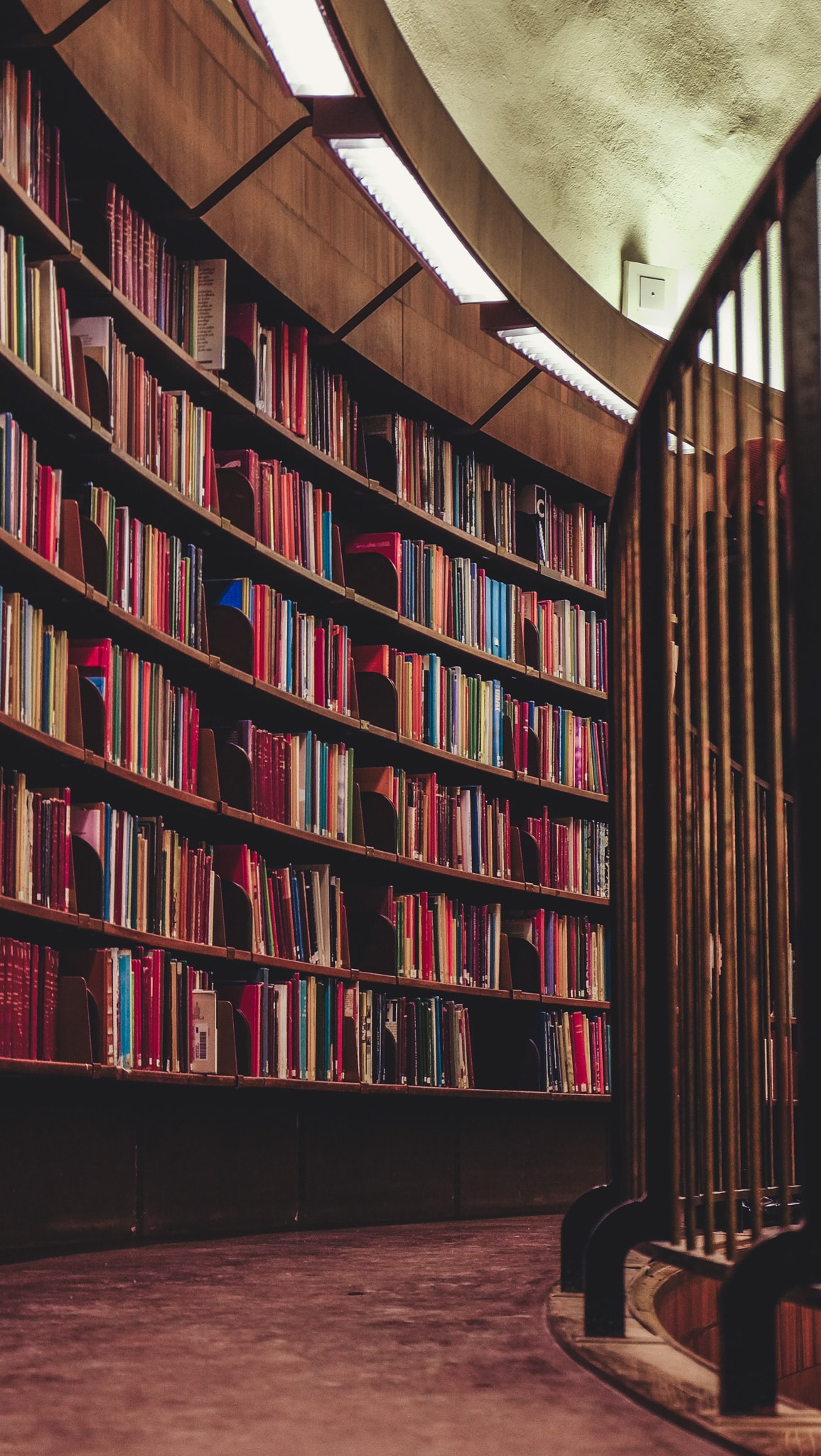 Vue rapprochée de la bibliothèque