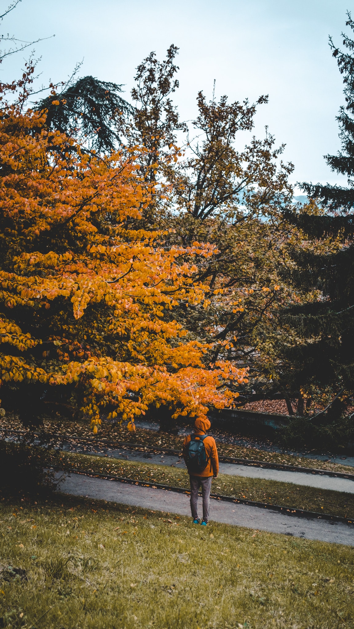 Visite du Parc Milan à Lausanne
