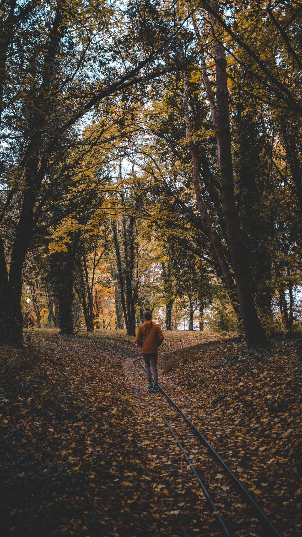 Sur le chemin du petit train de Vitry