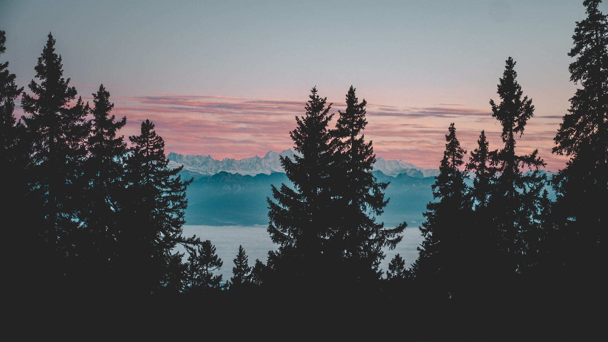 Le panorama à mi chemin du Mont Tendre