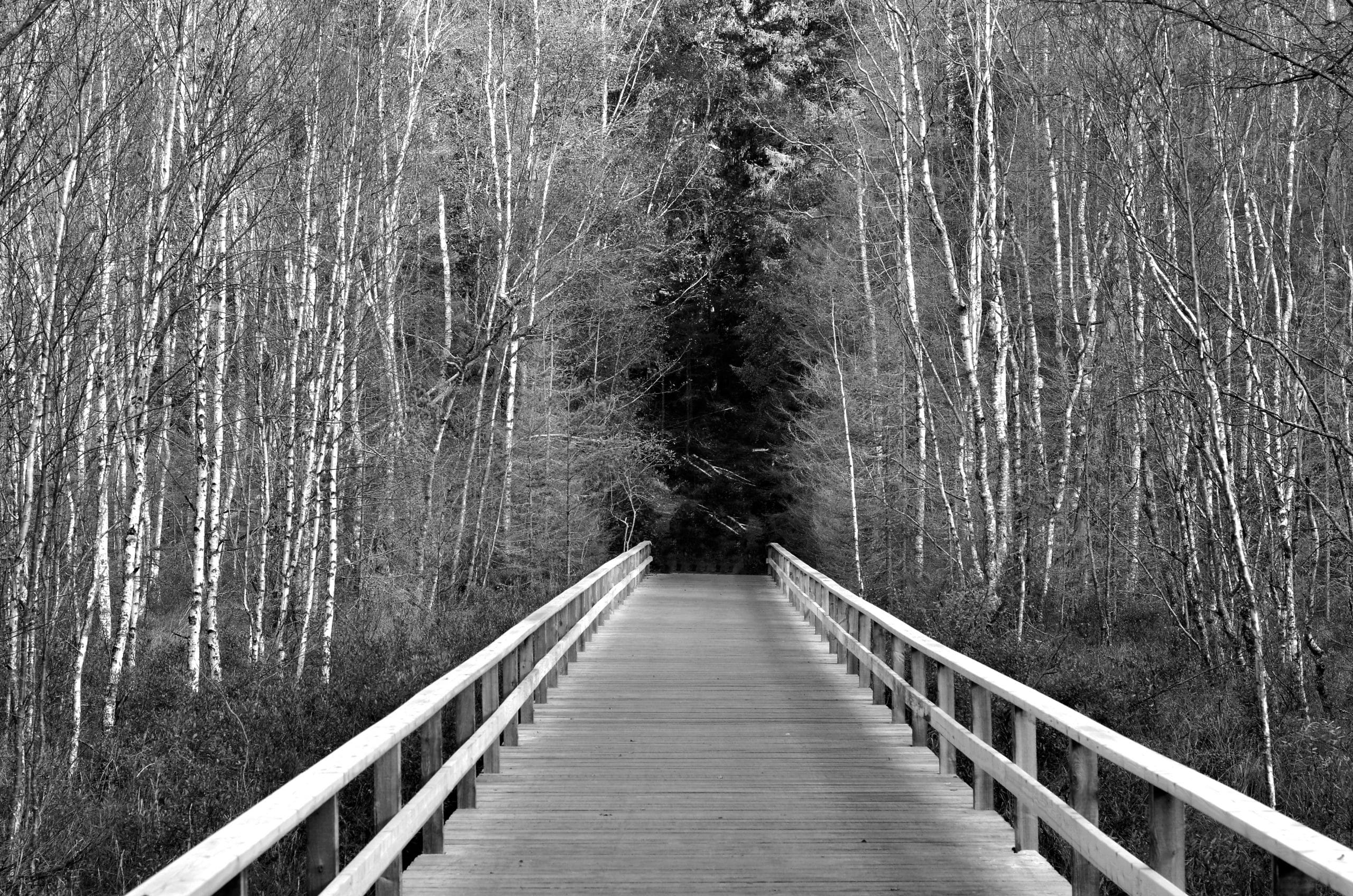 Pont du parc naturel de Tyresta