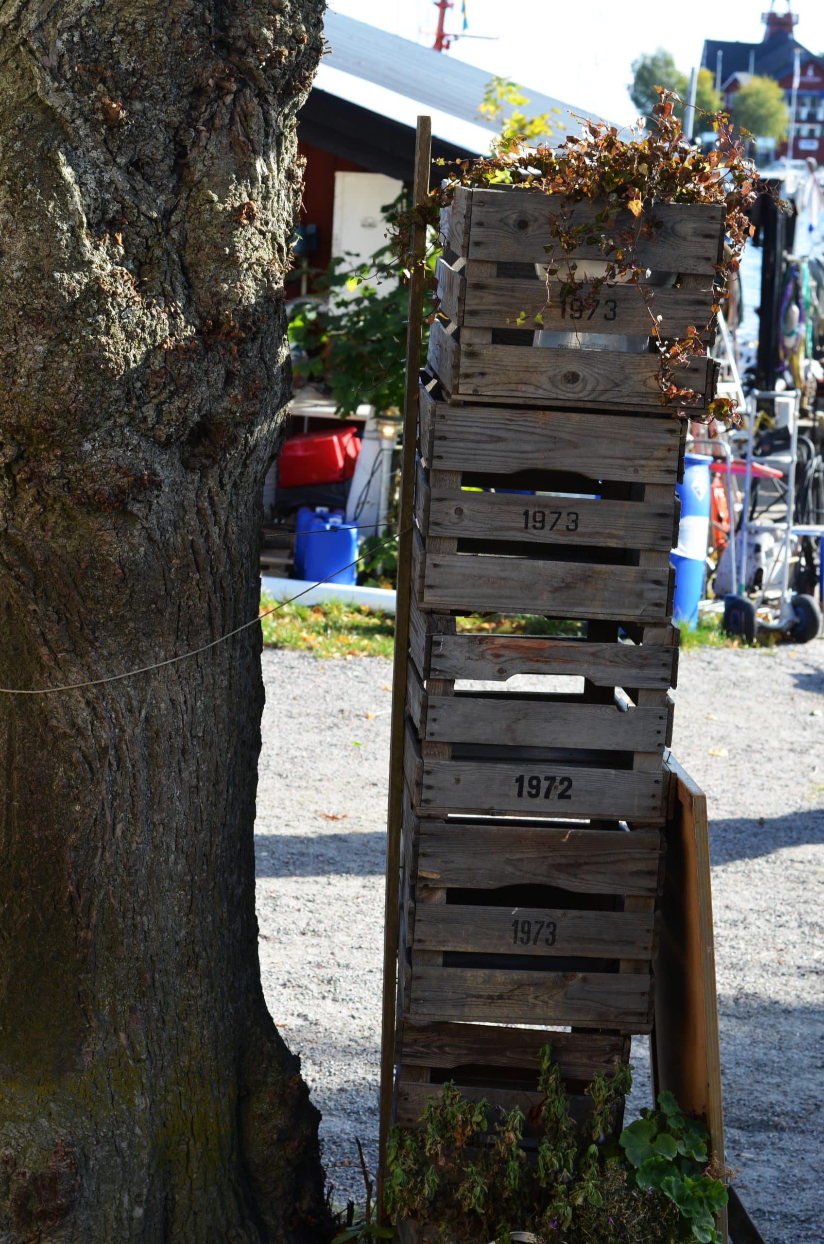 Cagettes de Sandhamn