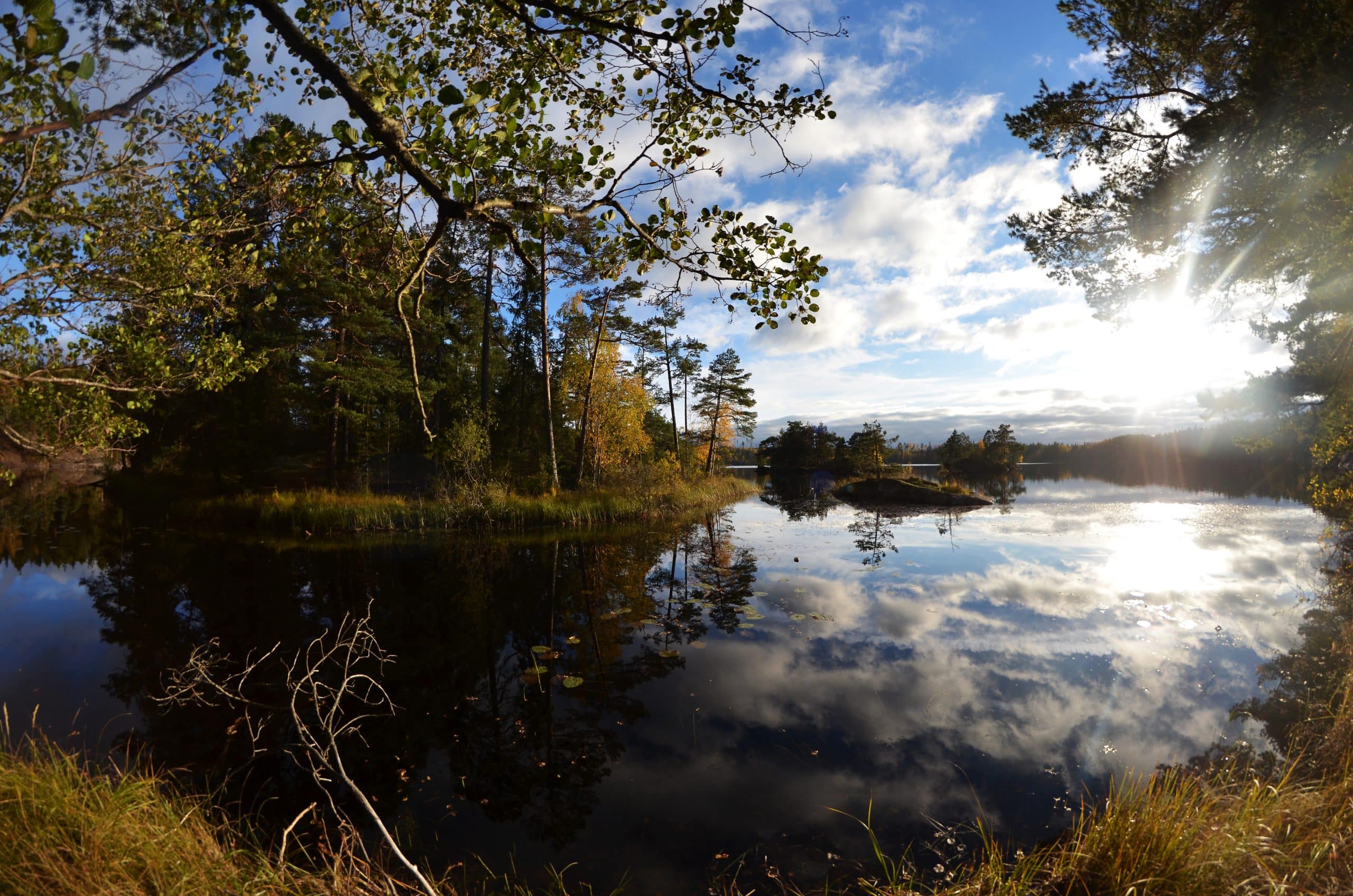 Reflet Suédois à Tyresta