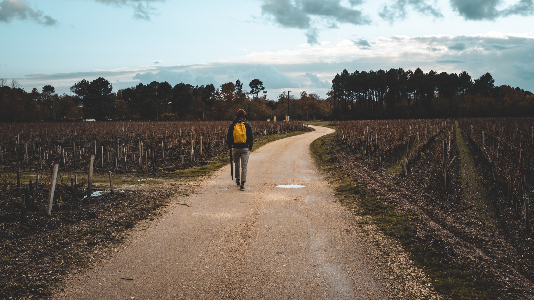 Promenade dominicale aux alentours de Bordeaux